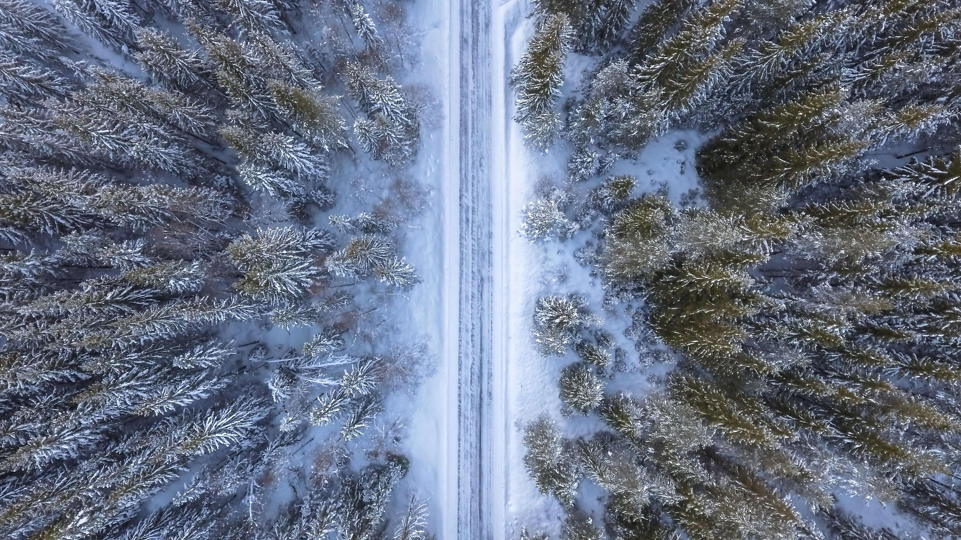HD wallpaper, Aerial View, Wallpaper, 4K, Nature, Winter, Forest, Scenery, Hd