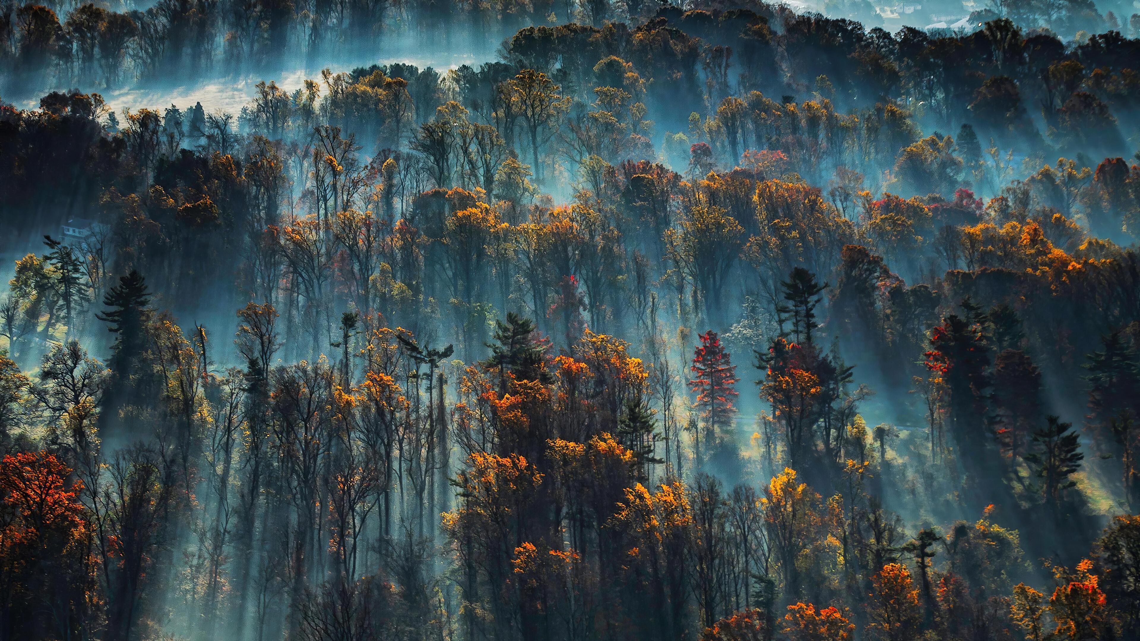 HD wallpaper, 4K, Scenery, Forest, Mist, Morning