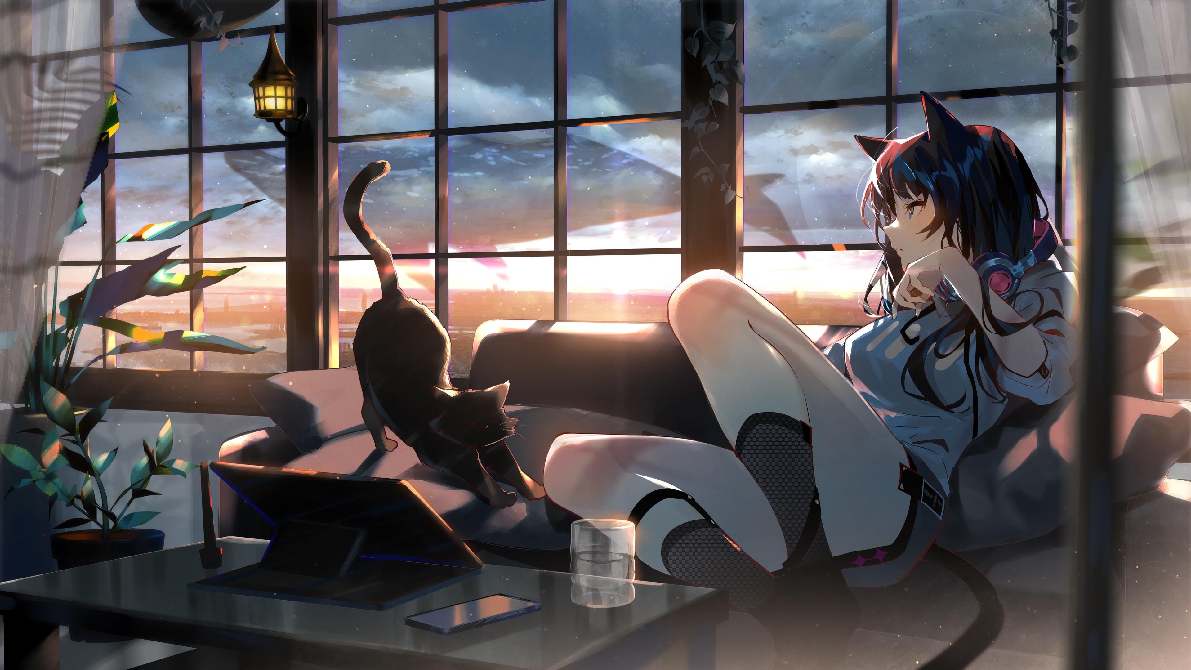 HD wallpaper, Anime, Pc, 4K, Girl, Cat, Sunset