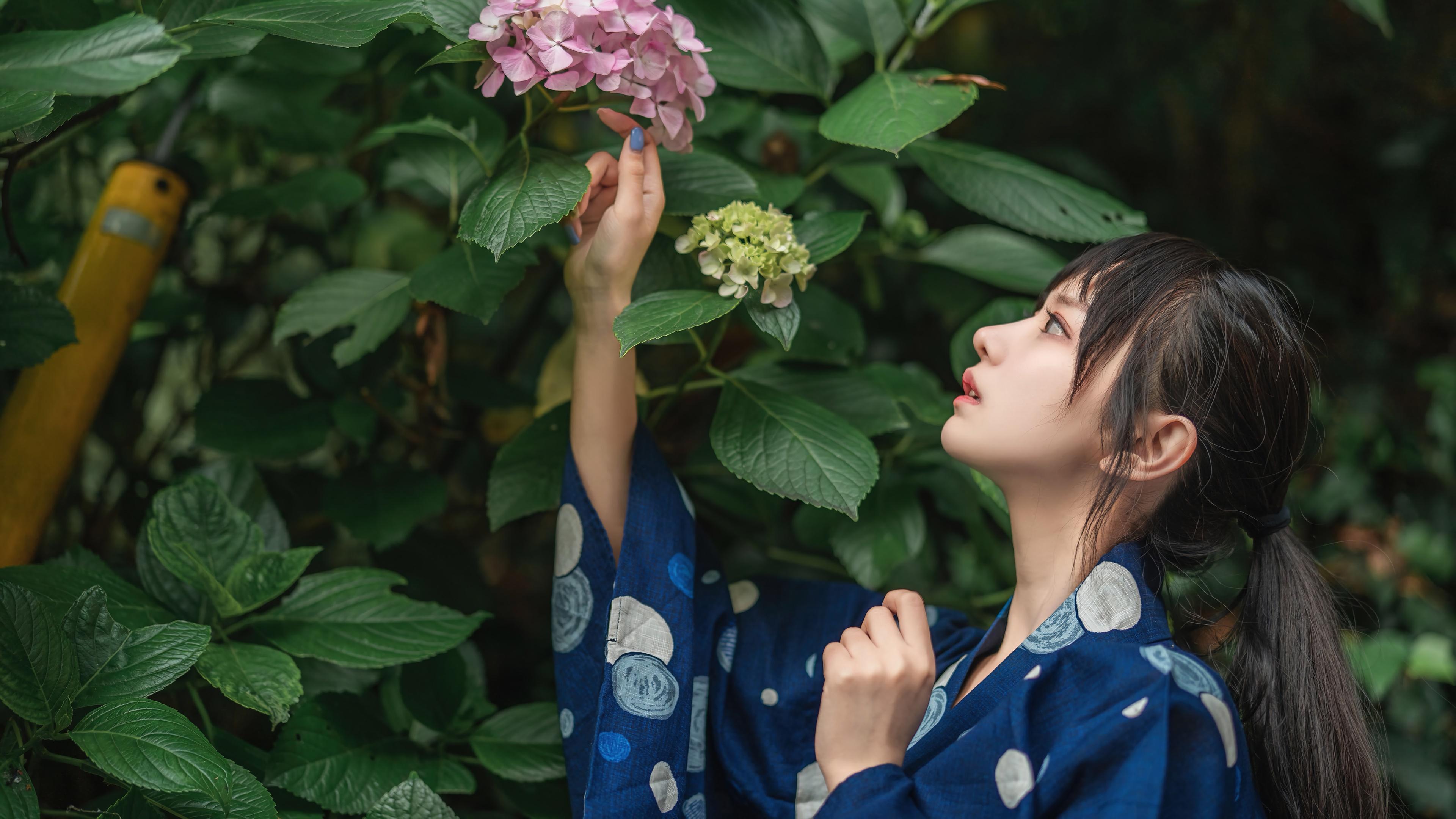 HD wallpaper, Japanese, Girl, Hd, Kimono, Asian, Wallpaper, 4K