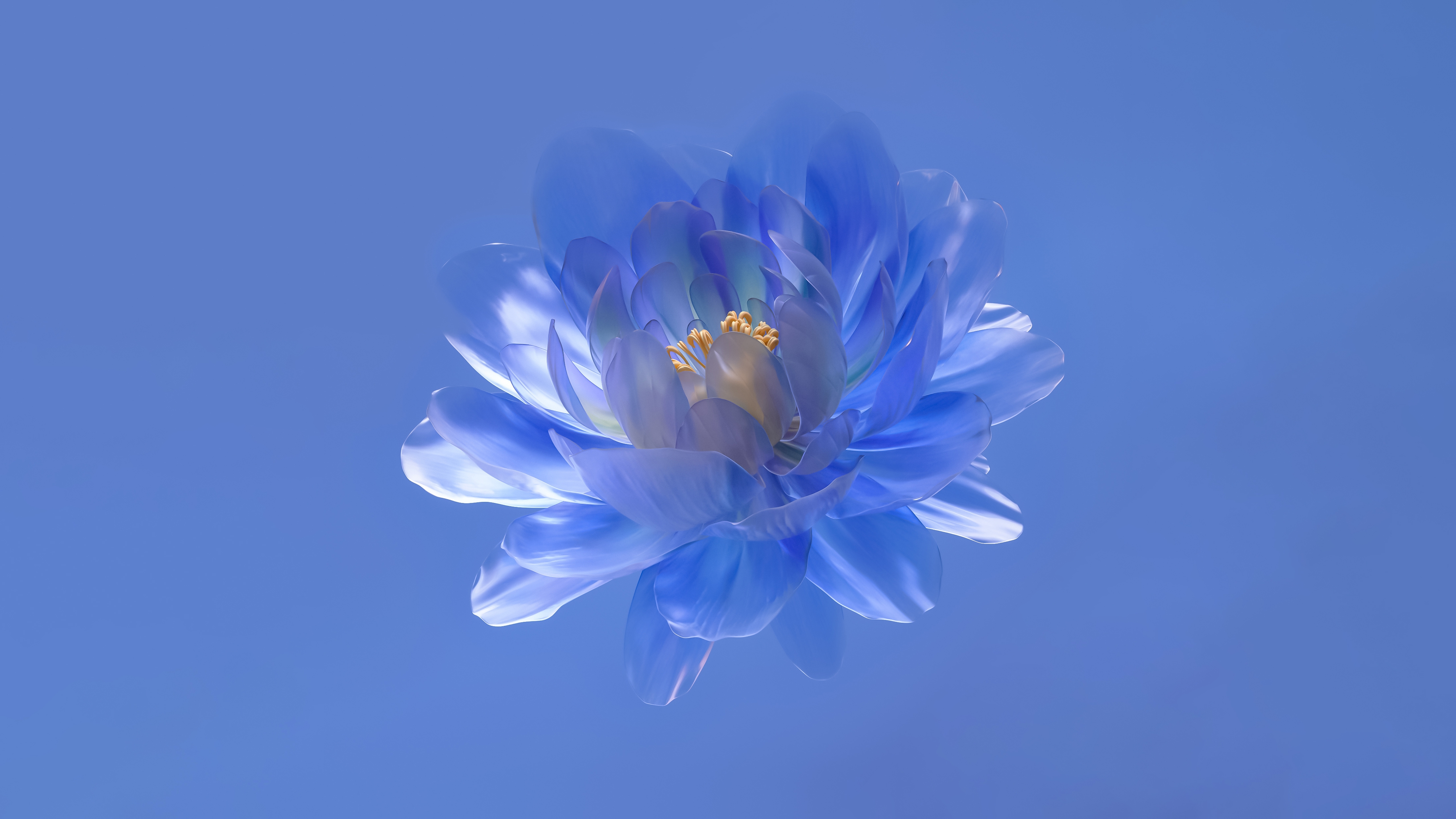 HD wallpaper, Abstract Flower, Blue Background, 5K, Blue Aesthetic
