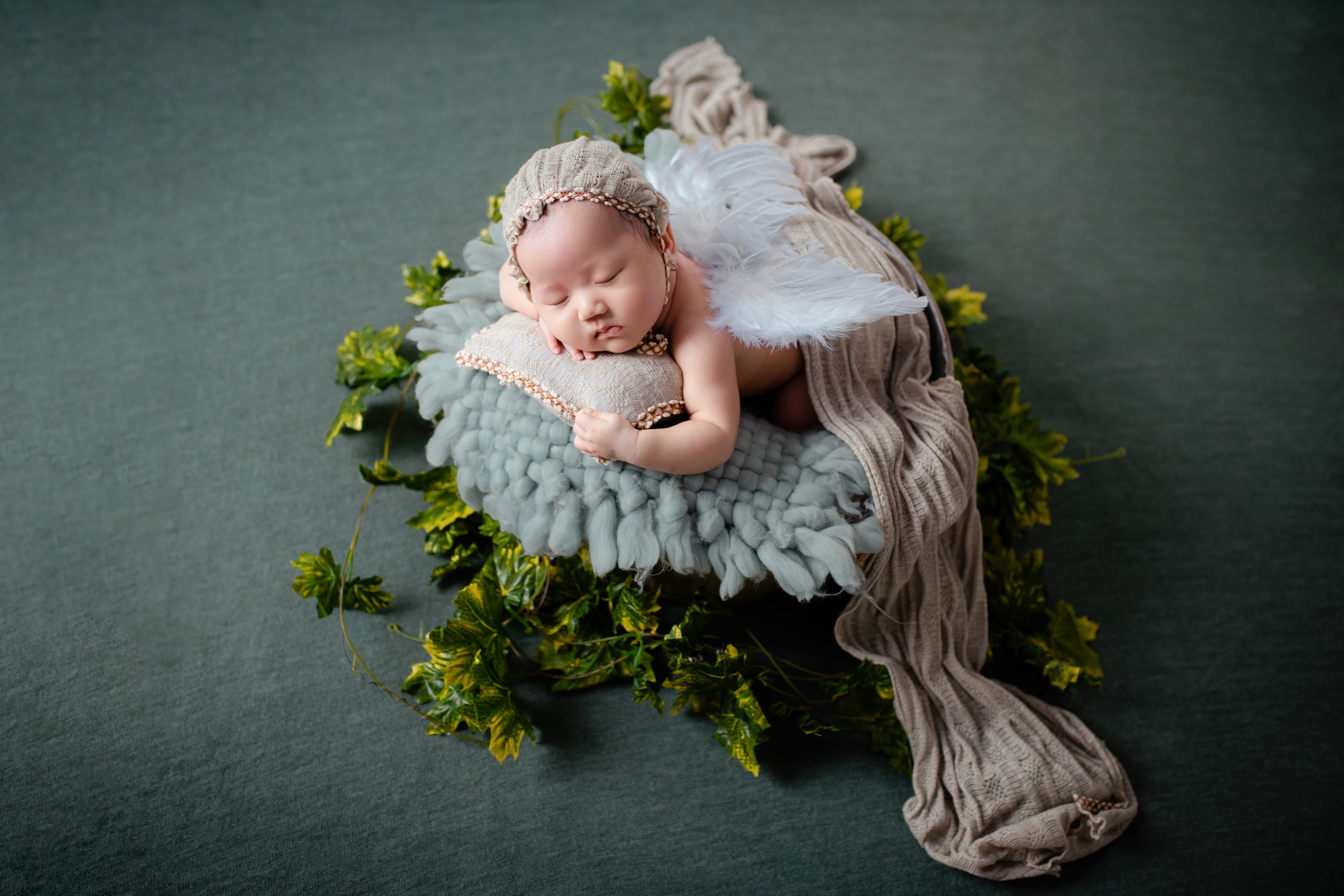 HD wallpaper, Sleeping Baby, Cute Baby, Angel, Baby Girl, Newborn Baby, Sage Green, 5K, Portrait, Green Leaves, Photoshoot