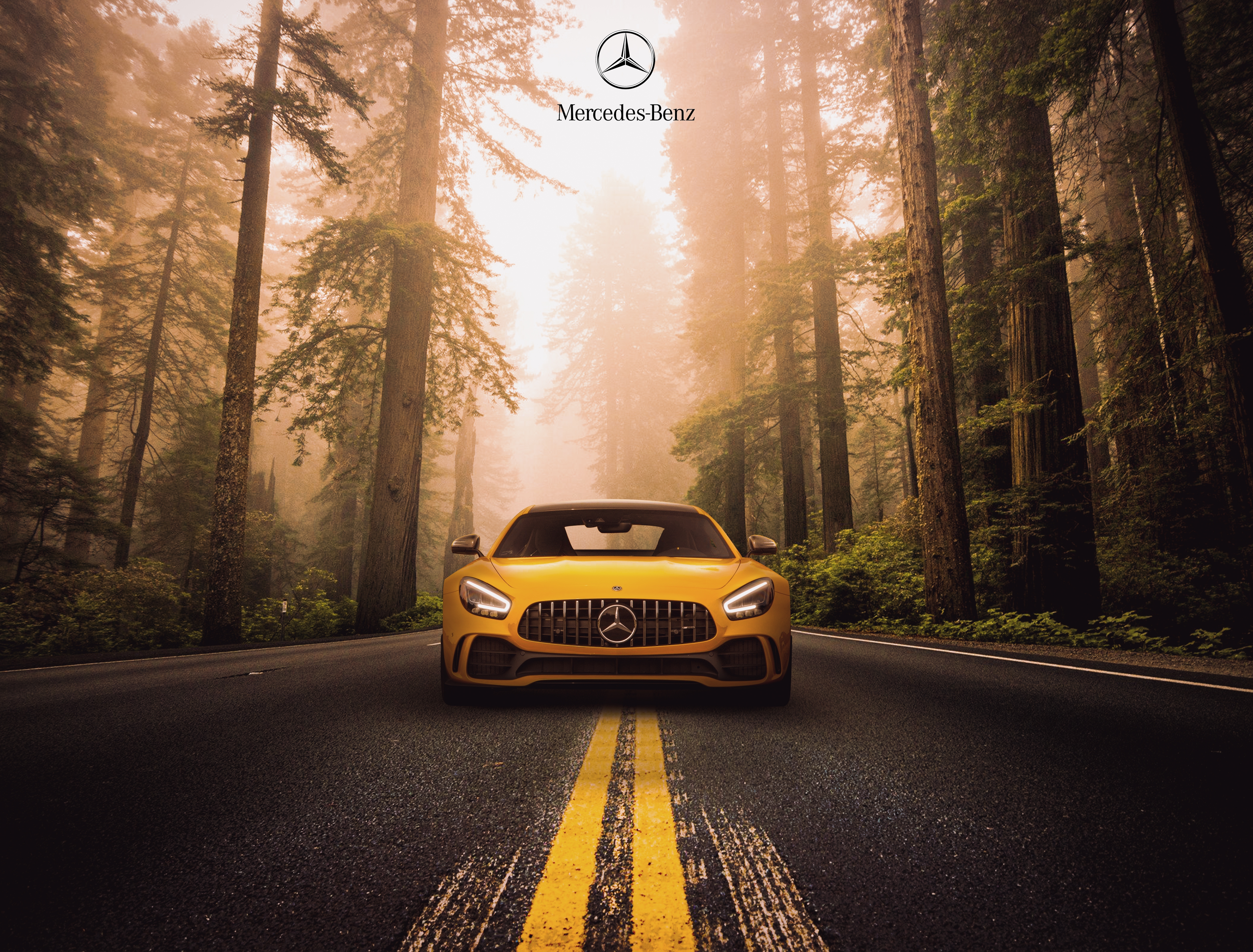 HD wallpaper, Sports Coupe, Mercedes Benz Amg Gt R, Road, Forest, 5K