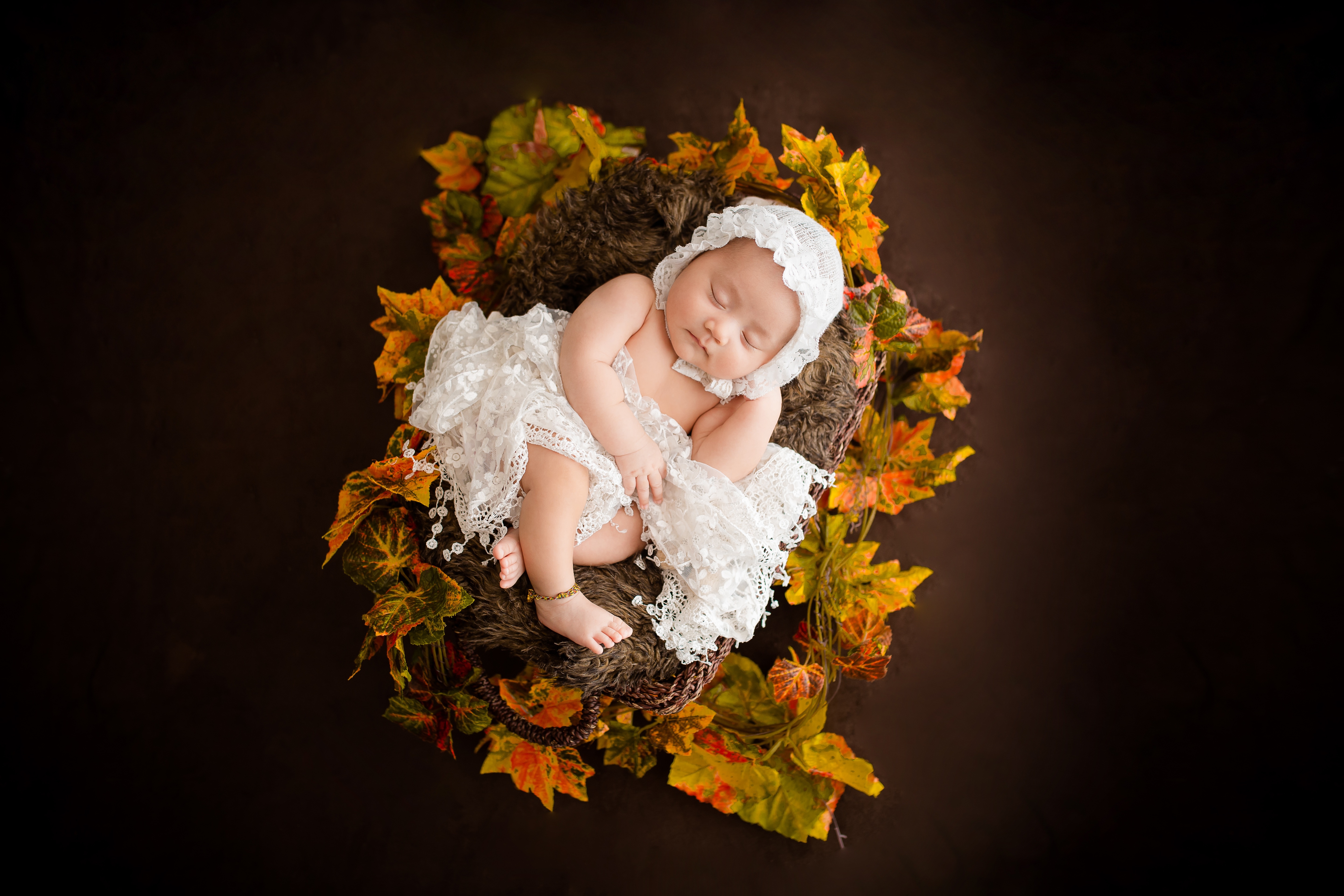 HD wallpaper, Brown Aesthetic, 5K, Brown, Dark Background, Fur, White Dress, Autumn Leaves, Basket, Cute Baby, Newborn