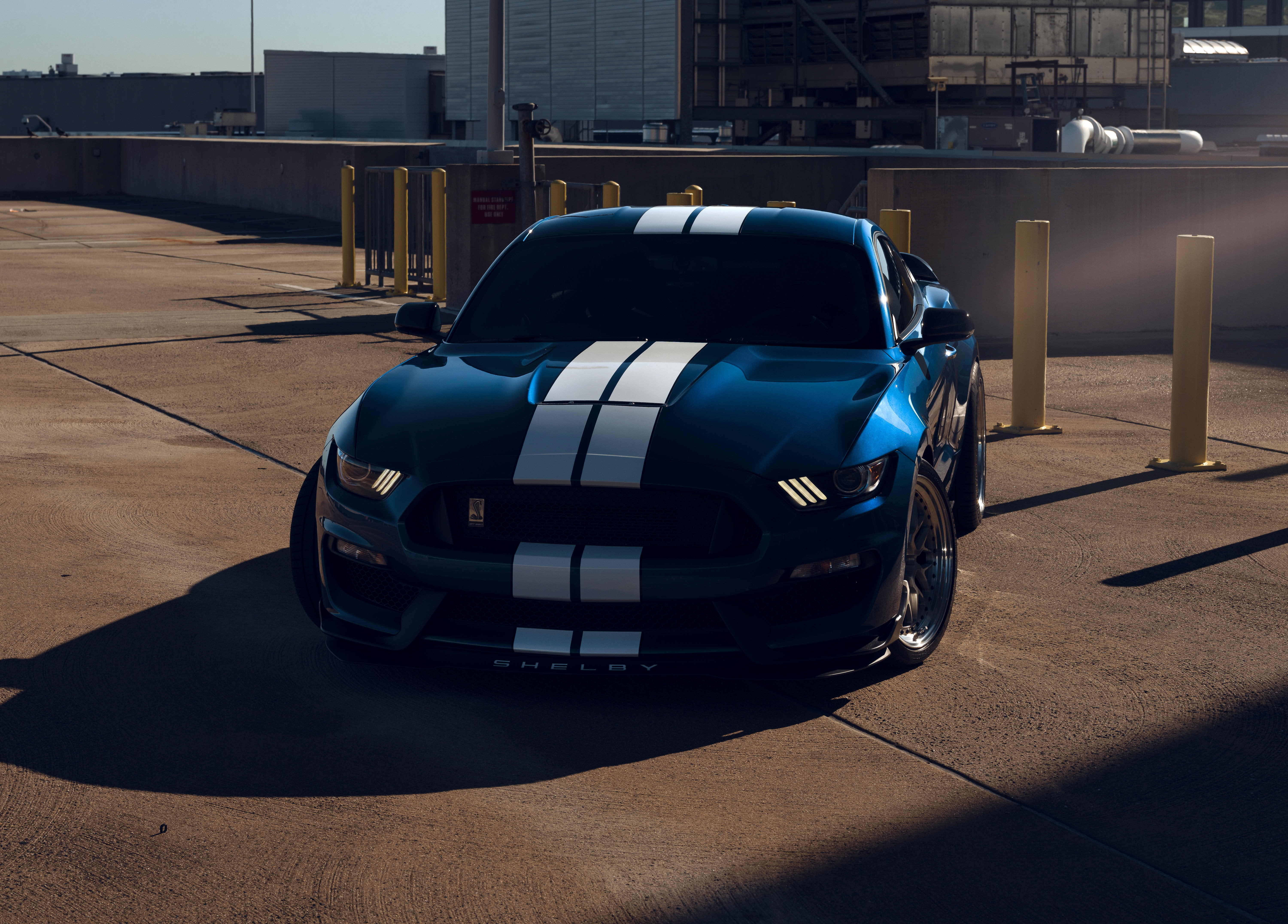 HD wallpaper, Muscle Cars, Ford Mustang Shelby Gt350, 5K