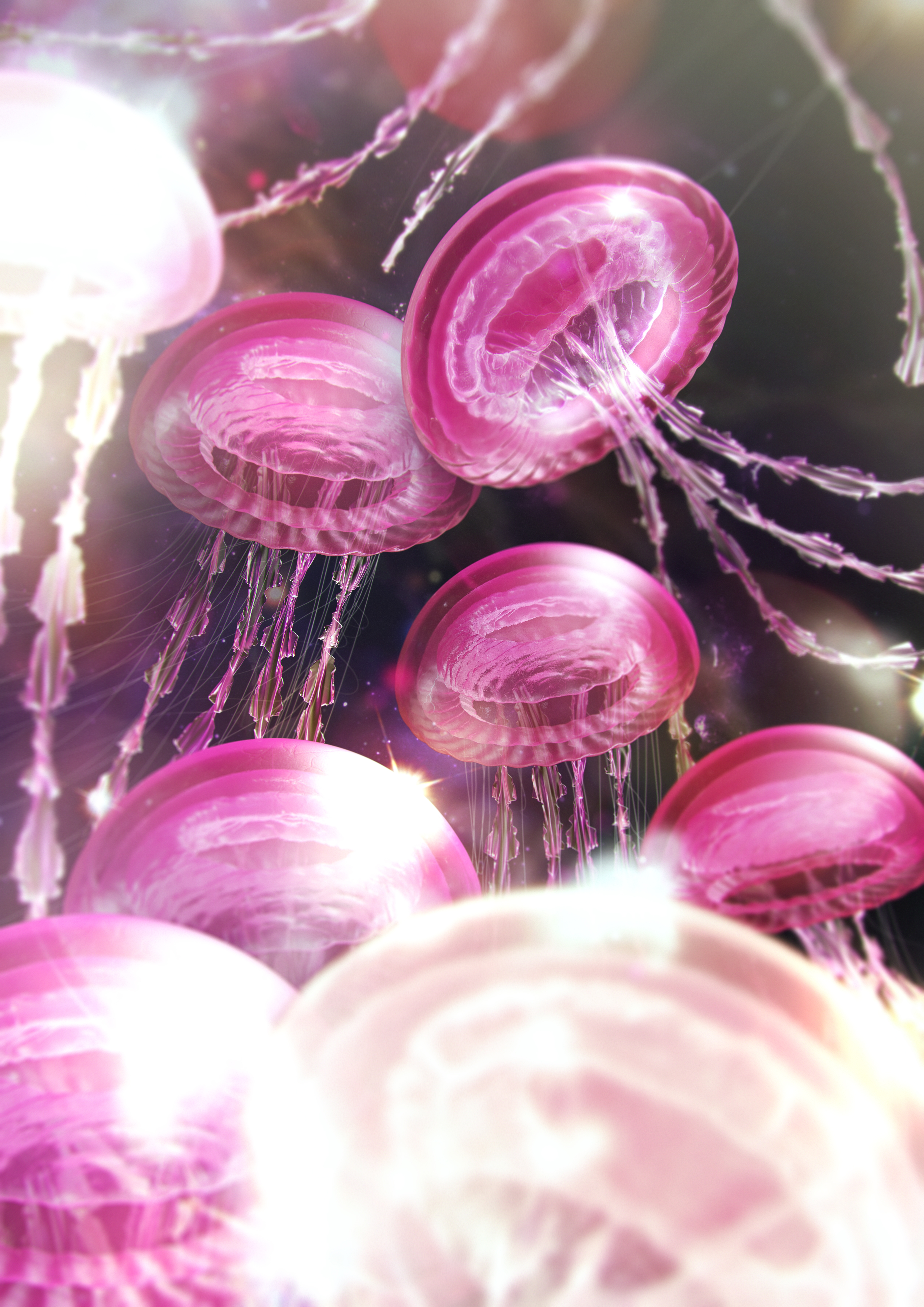 HD wallpaper, 5K, Pink Aesthetic, Surreal, Jellyfishes