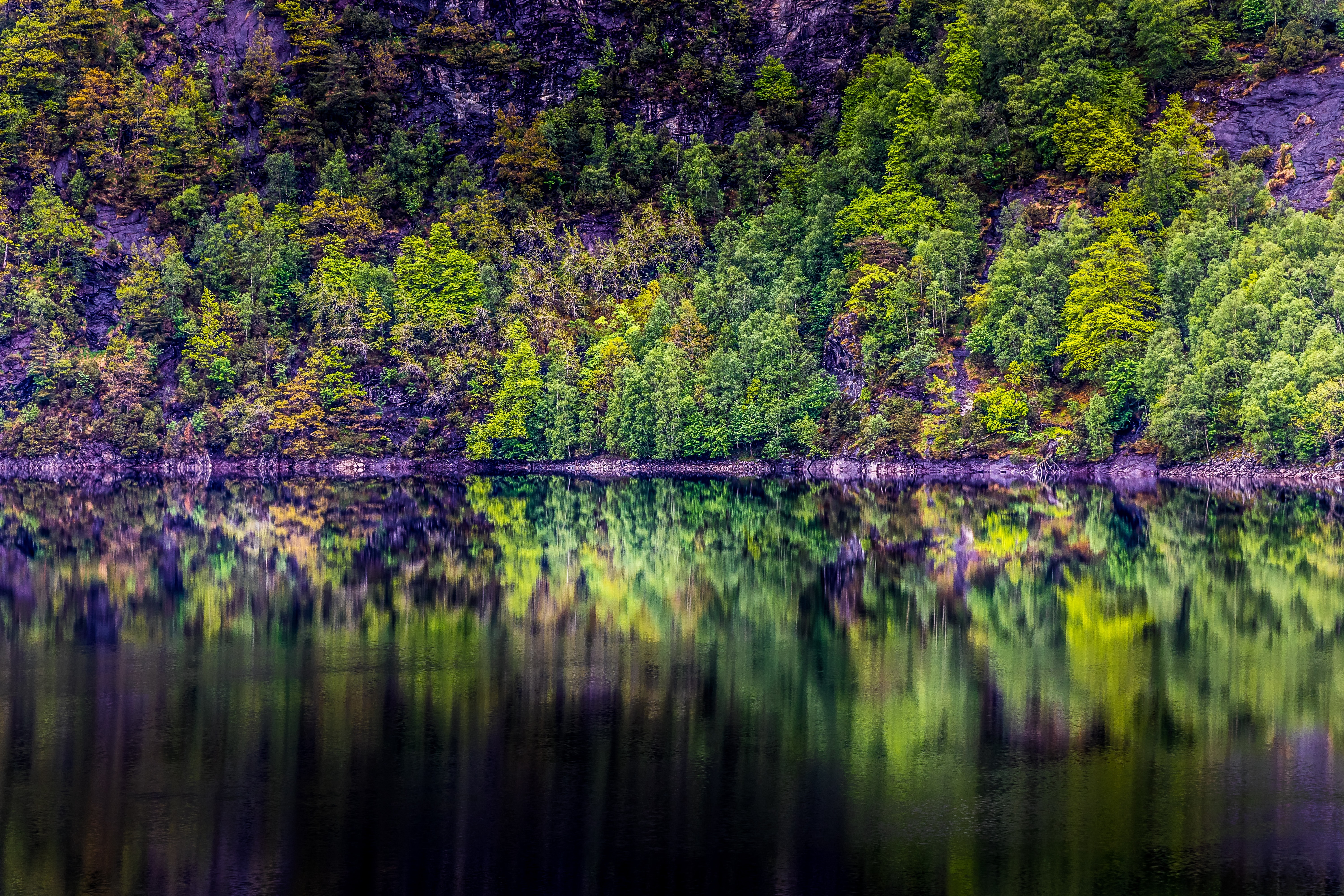 HD wallpaper, River, Lake, Rainforest, Rock, Reflection, 5K, Trees, Forest, Norway, Cliff