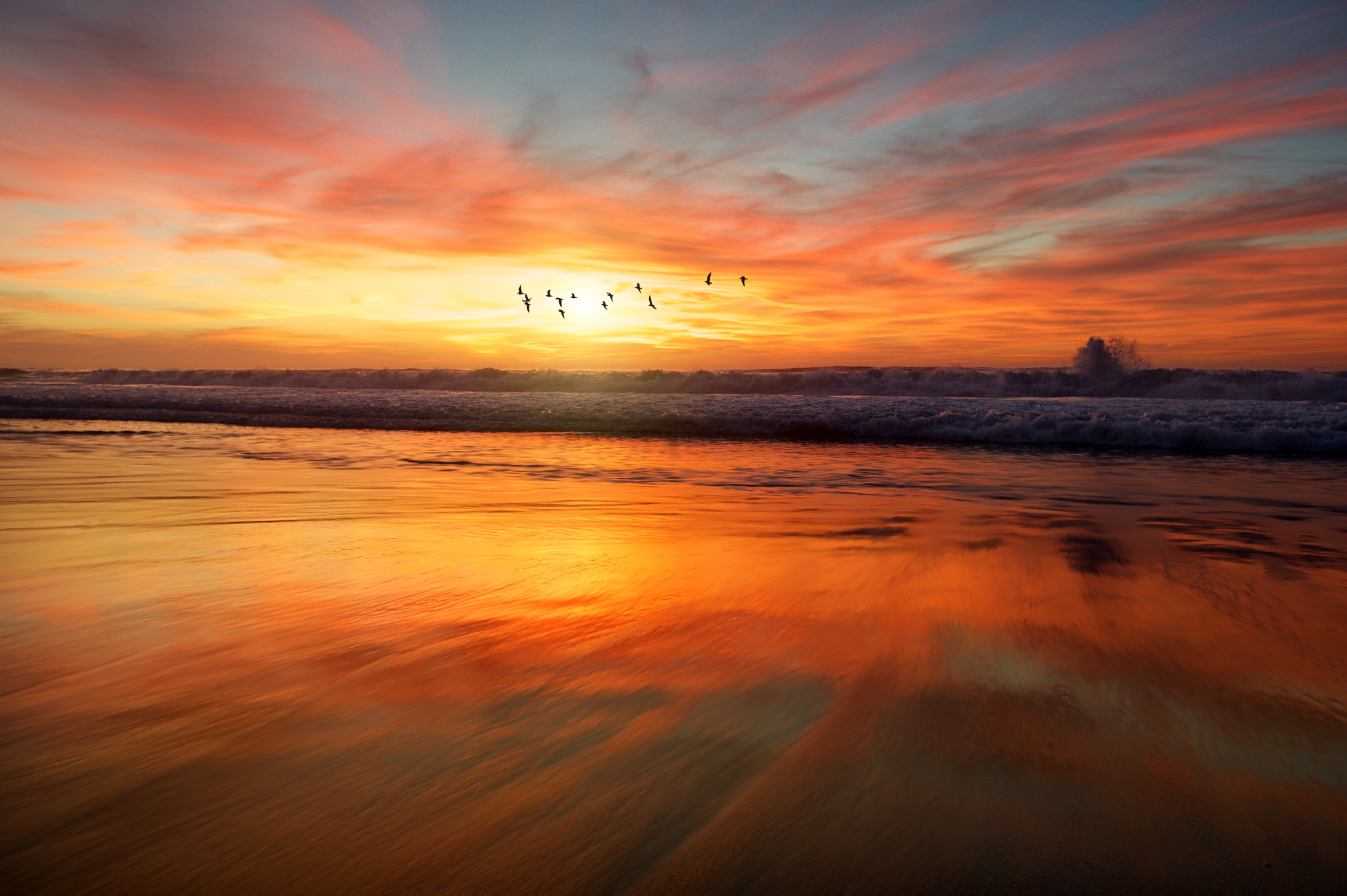 HD wallpaper, Waves, 5K, Beach, Sunset, Flying Birds