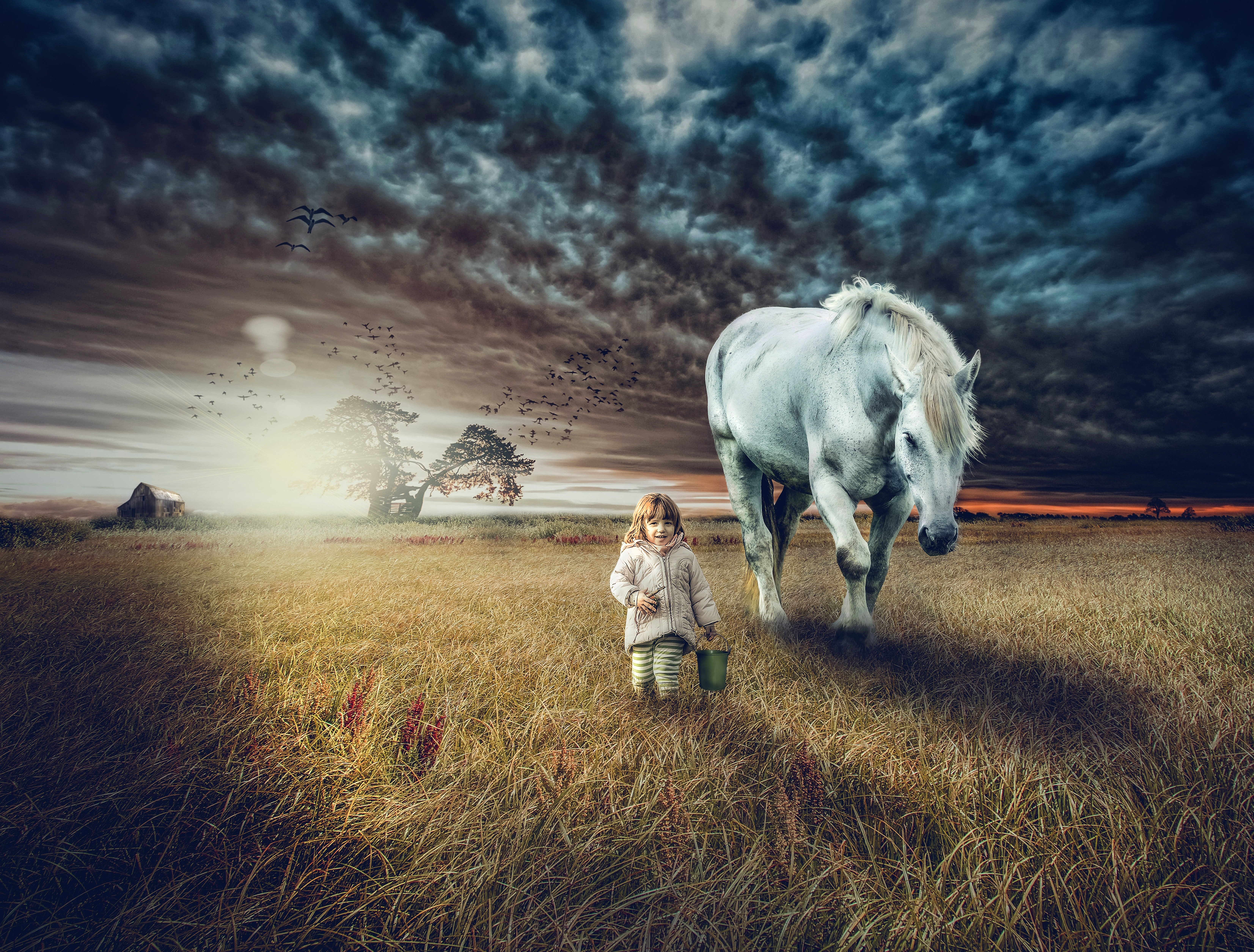 HD wallpaper, 5K, Cute Girl, White Horse, Farm Land, Countryside, Sunset