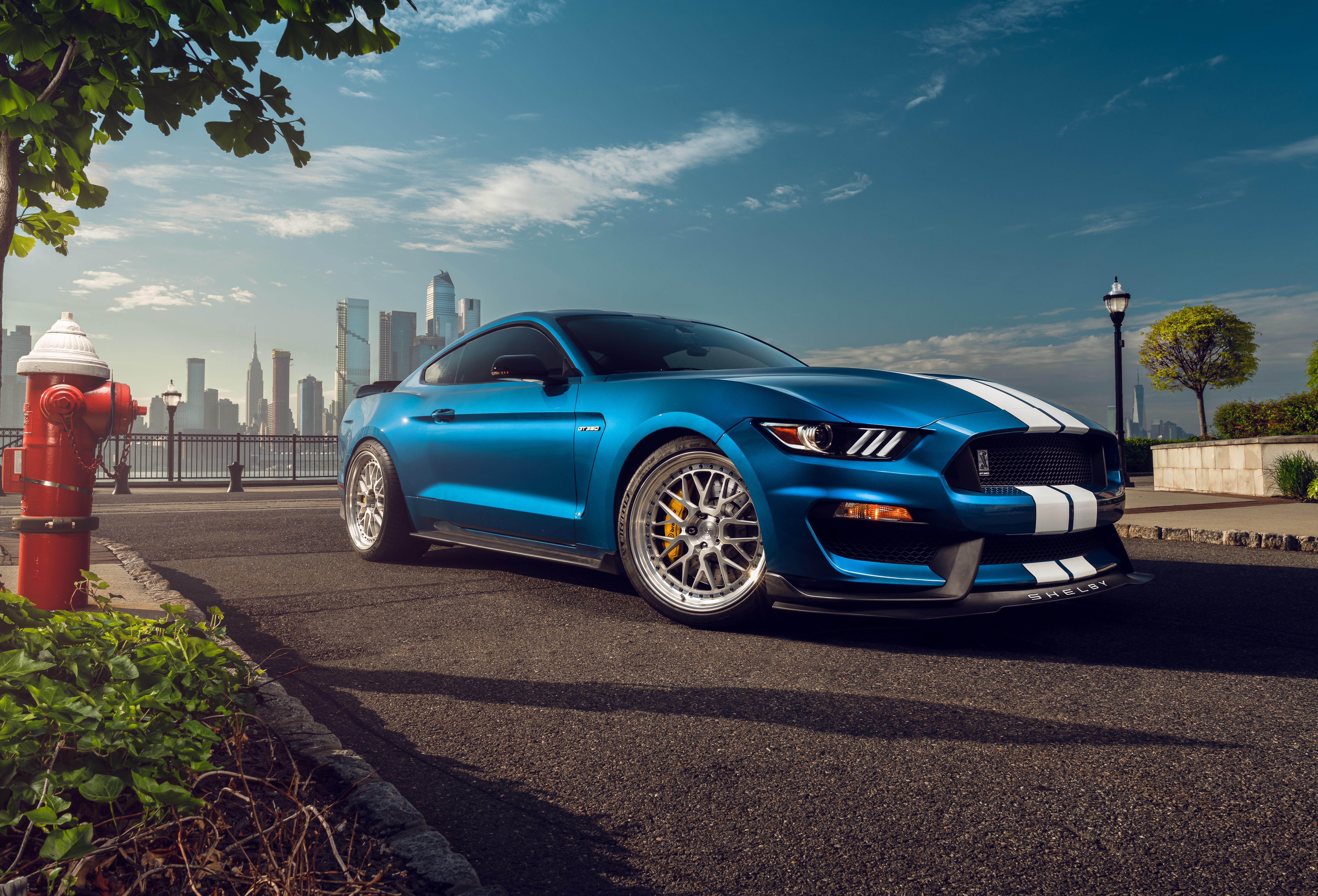 HD wallpaper, Ford Mustang Shelby Gt350, 8K, Muscle Sports Cars, 5K