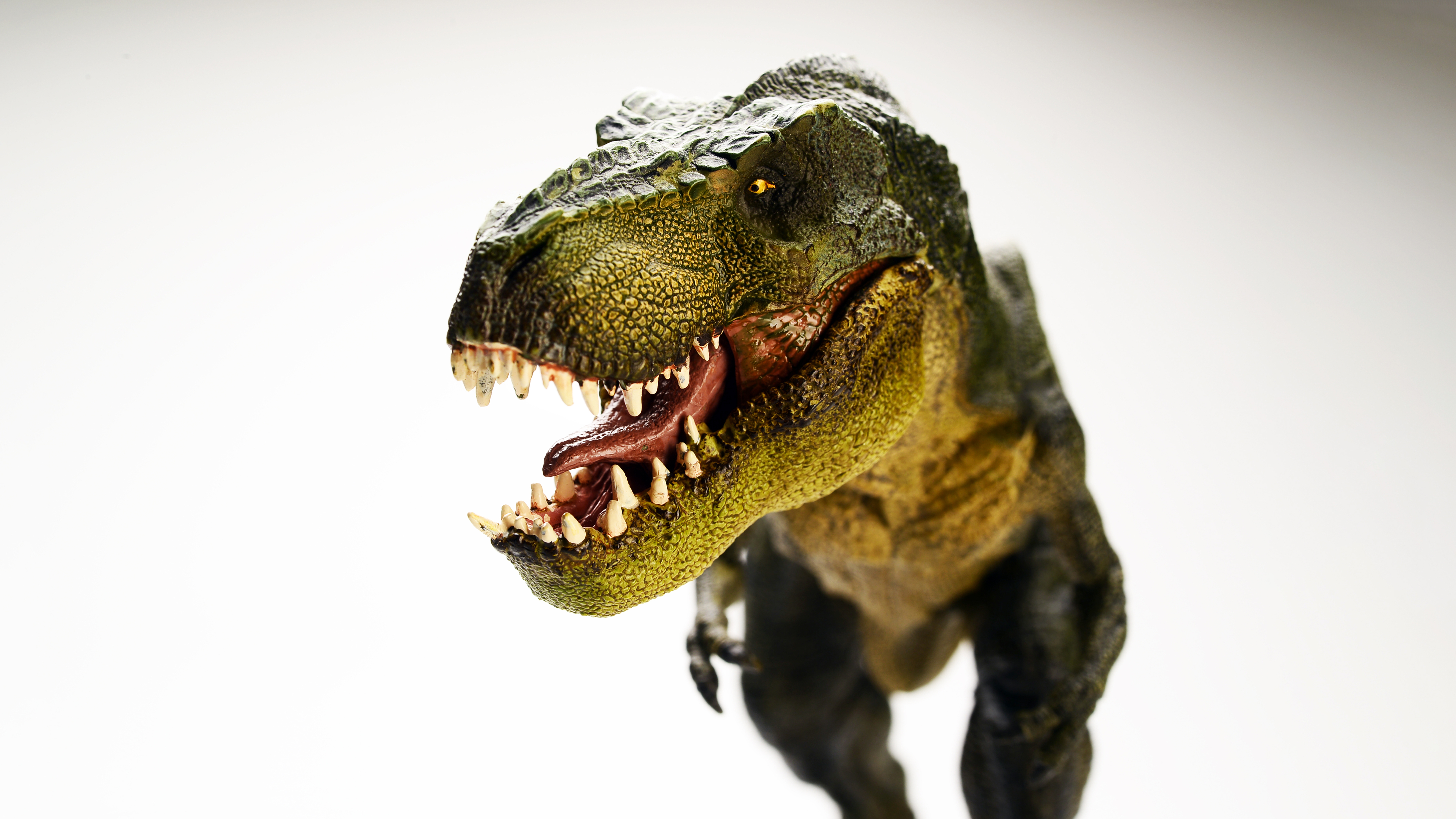 HD wallpaper, T Rex, 5K, Tyrannosaurus, 8K, Dinosaur