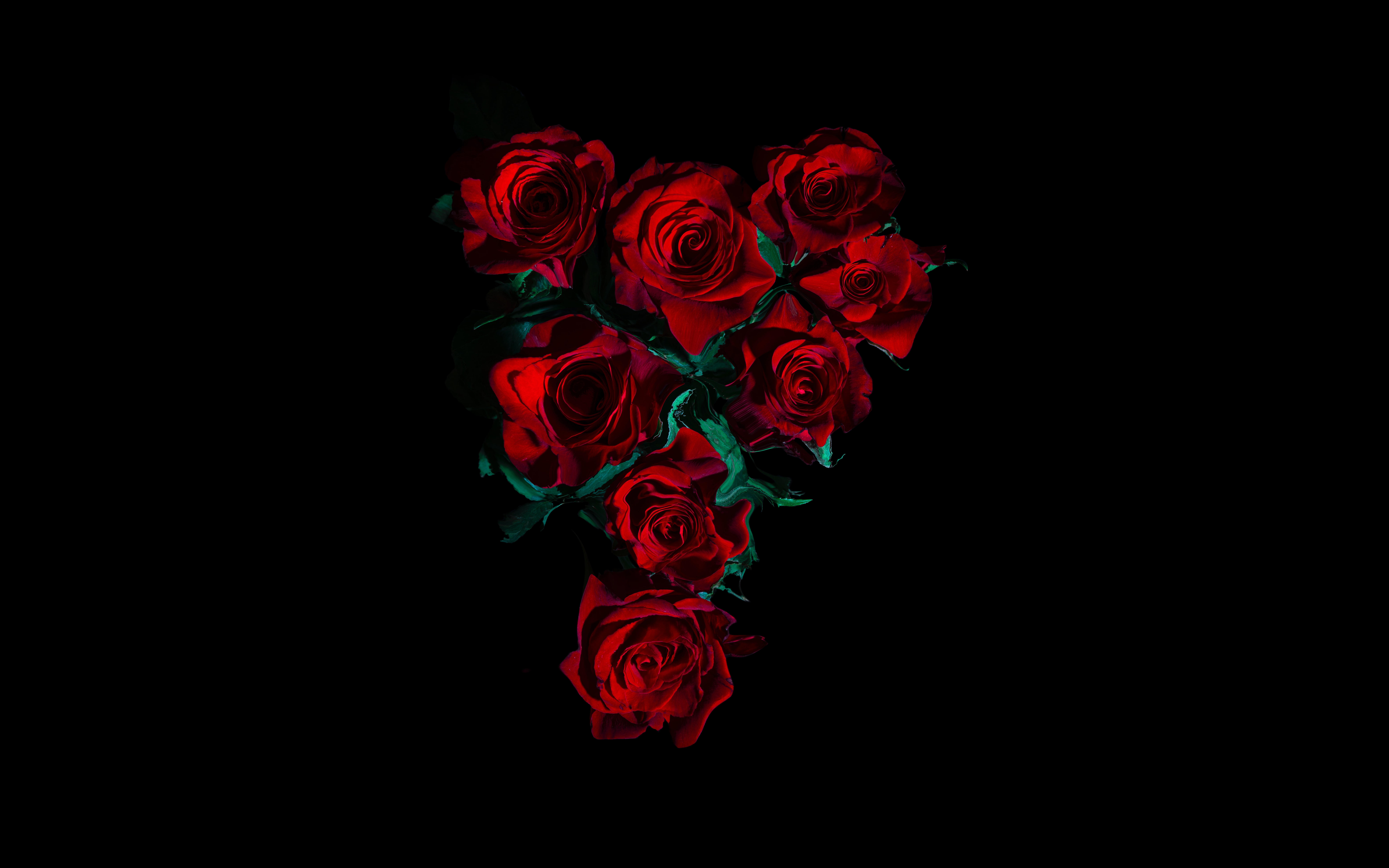 HD wallpaper, 5K, Black Background, 8K, Red Roses, Flower Bouquet