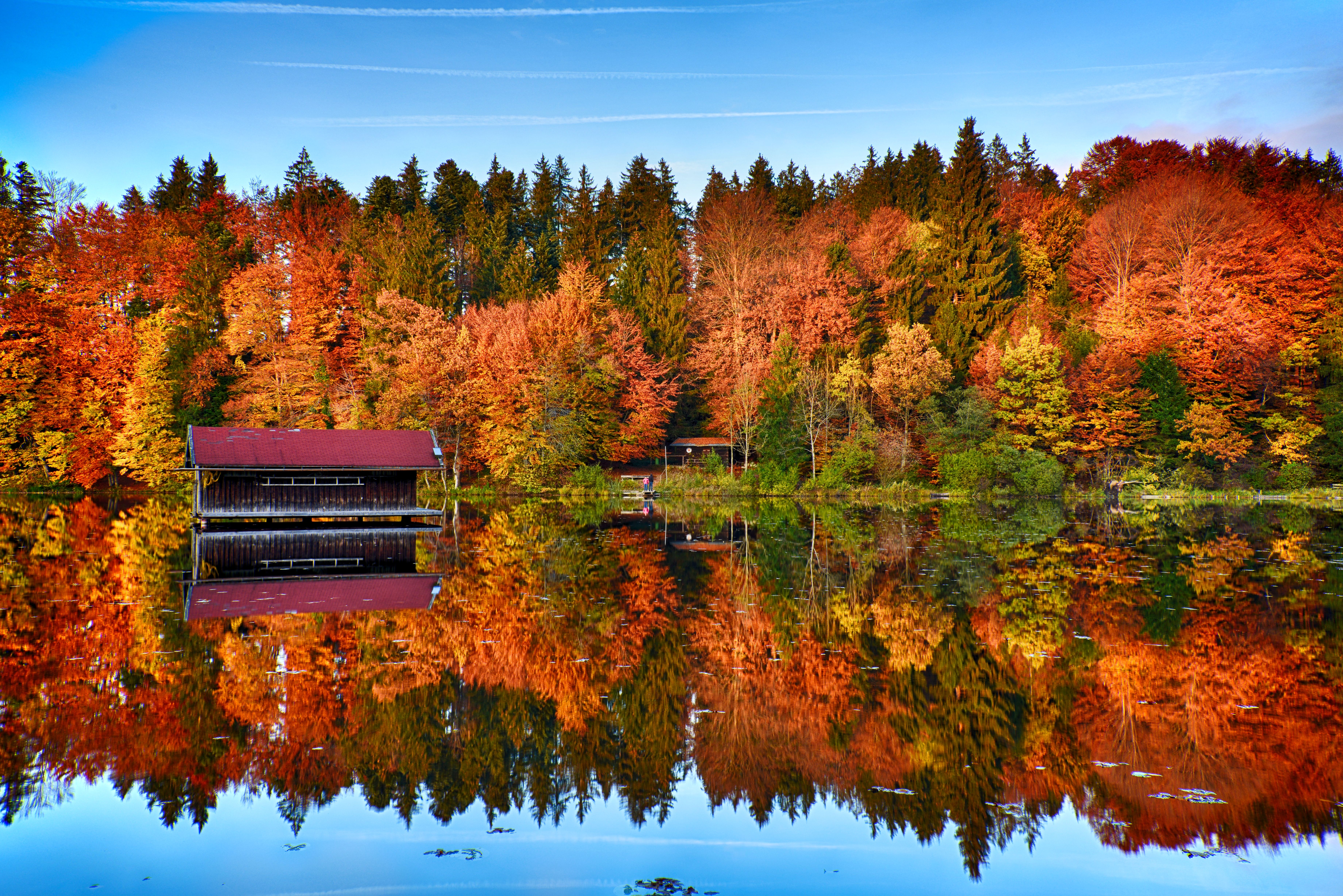 HD wallpaper, Scenery, Reflection, Mirror Lake, Landscape, Autumn Trees, 5K, Forest, 8K, Wooden House