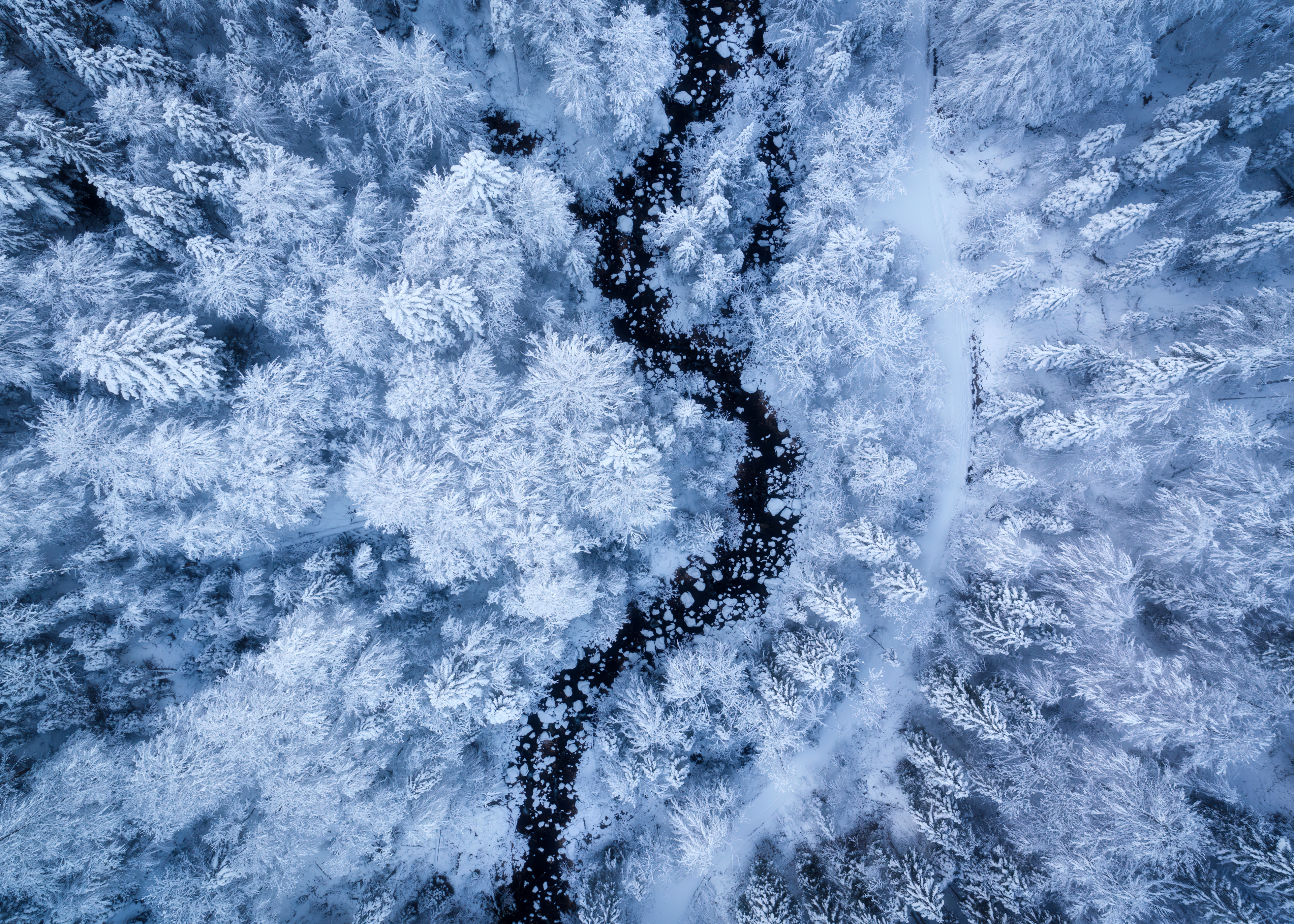 HD wallpaper, Cold, Snow Covered, Winter Forest, Aerial View, White Aesthetic, Water Stream