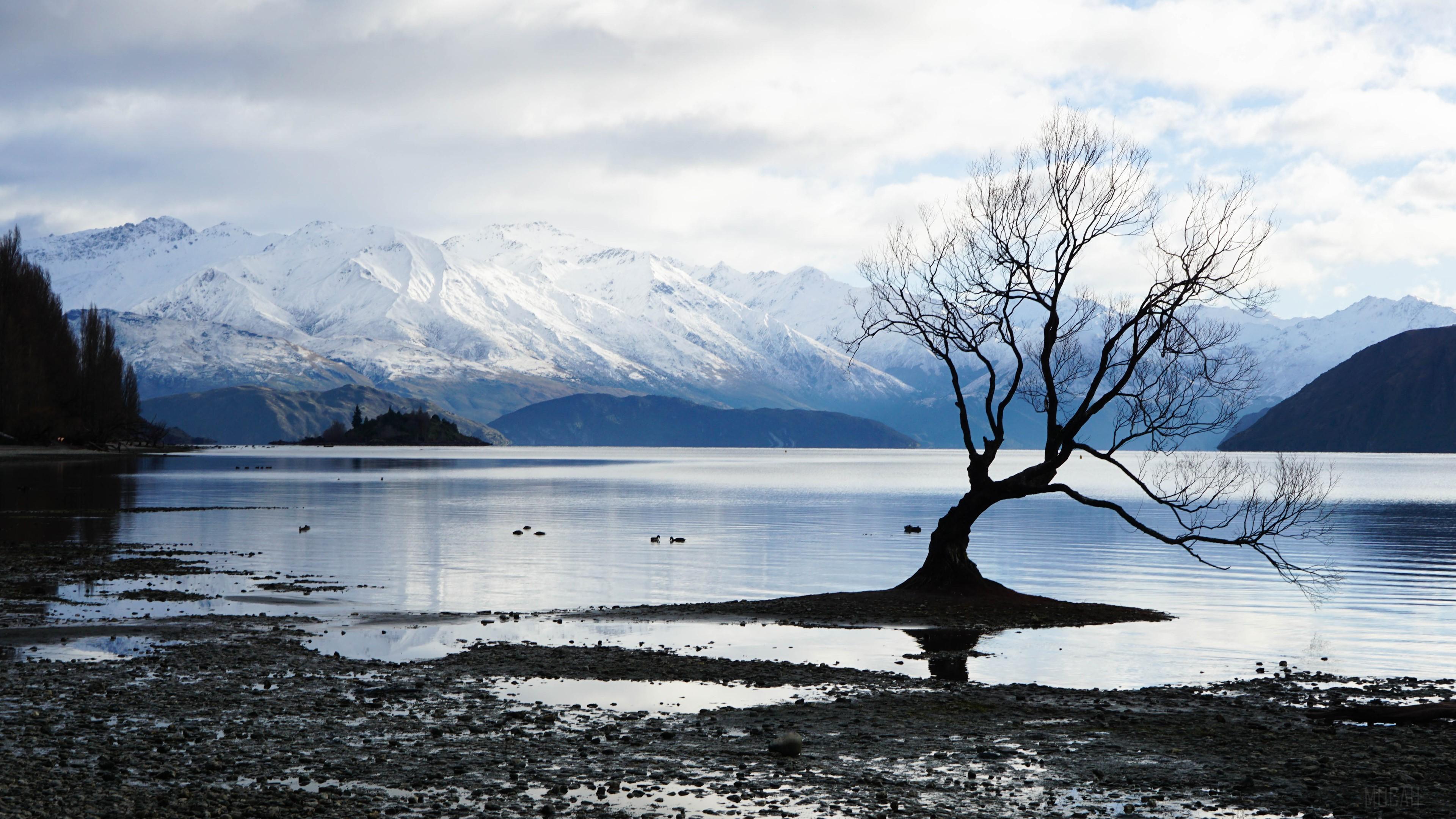 HD wallpaper, Alone Tree Snow Lake Mountain Landscape 4K
