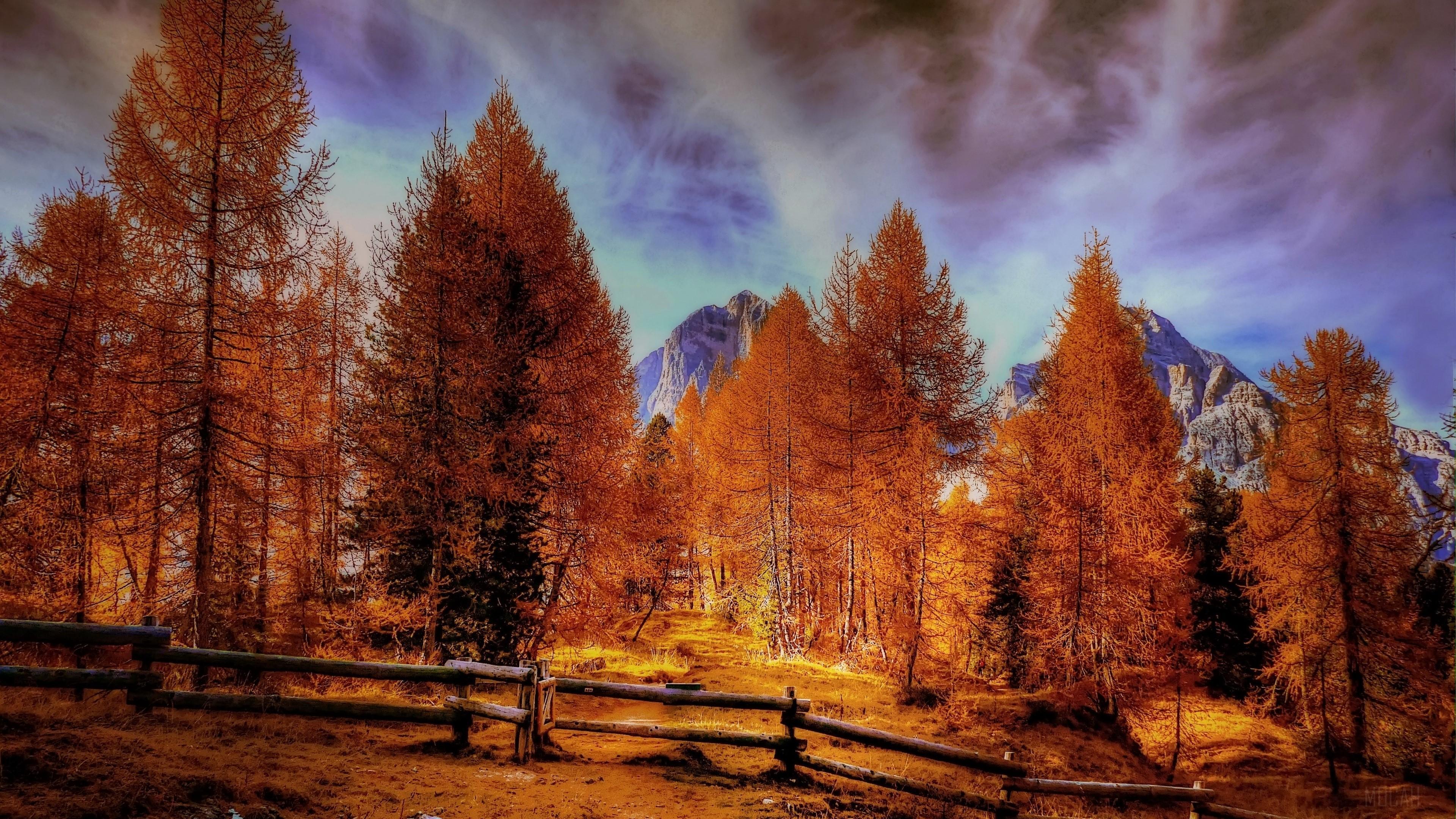 HD wallpaper, Alpine Mountains Autumn Forest Trees 4K