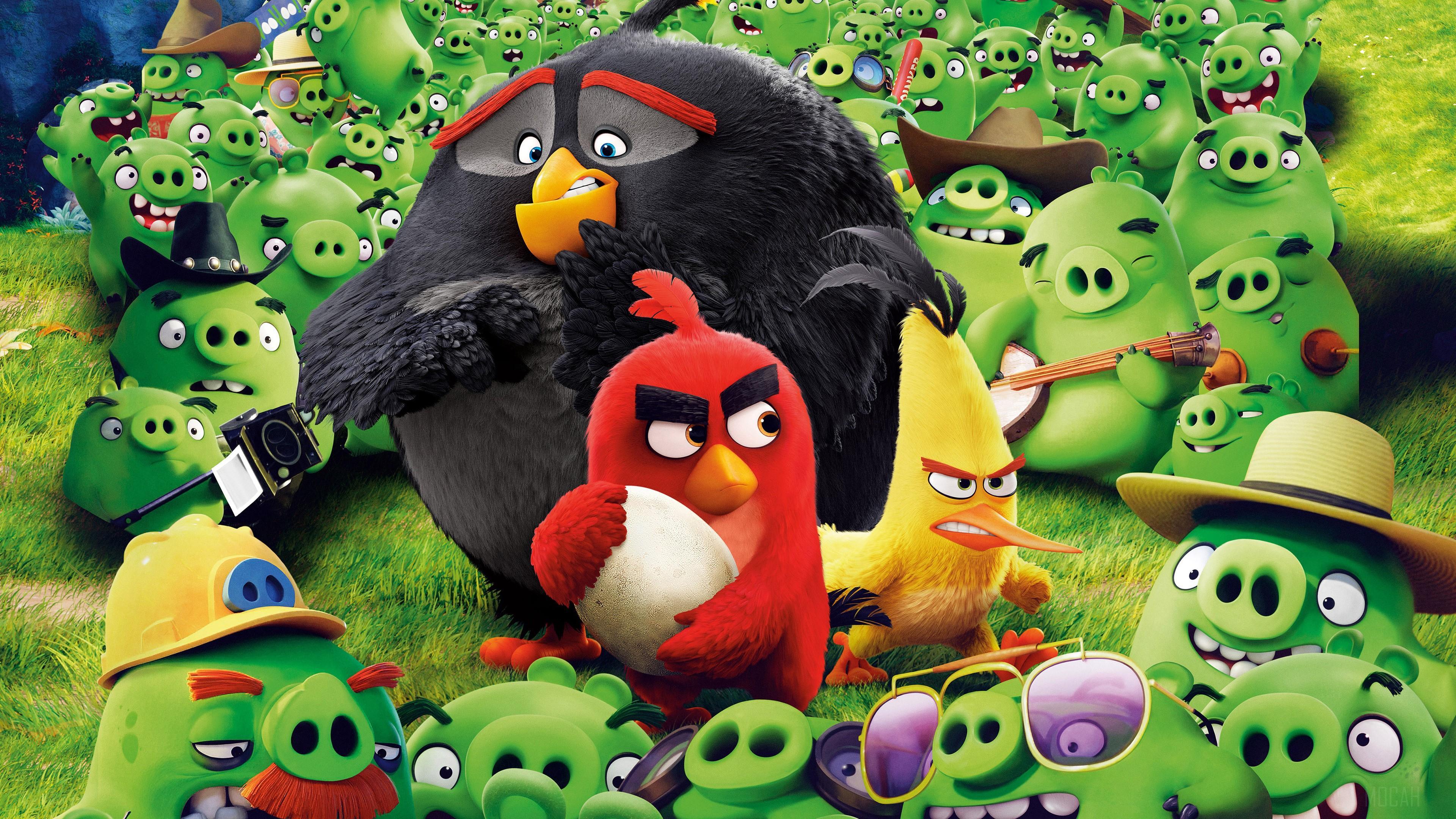 HD wallpaper, Angry Birds Save The Egg 4K
