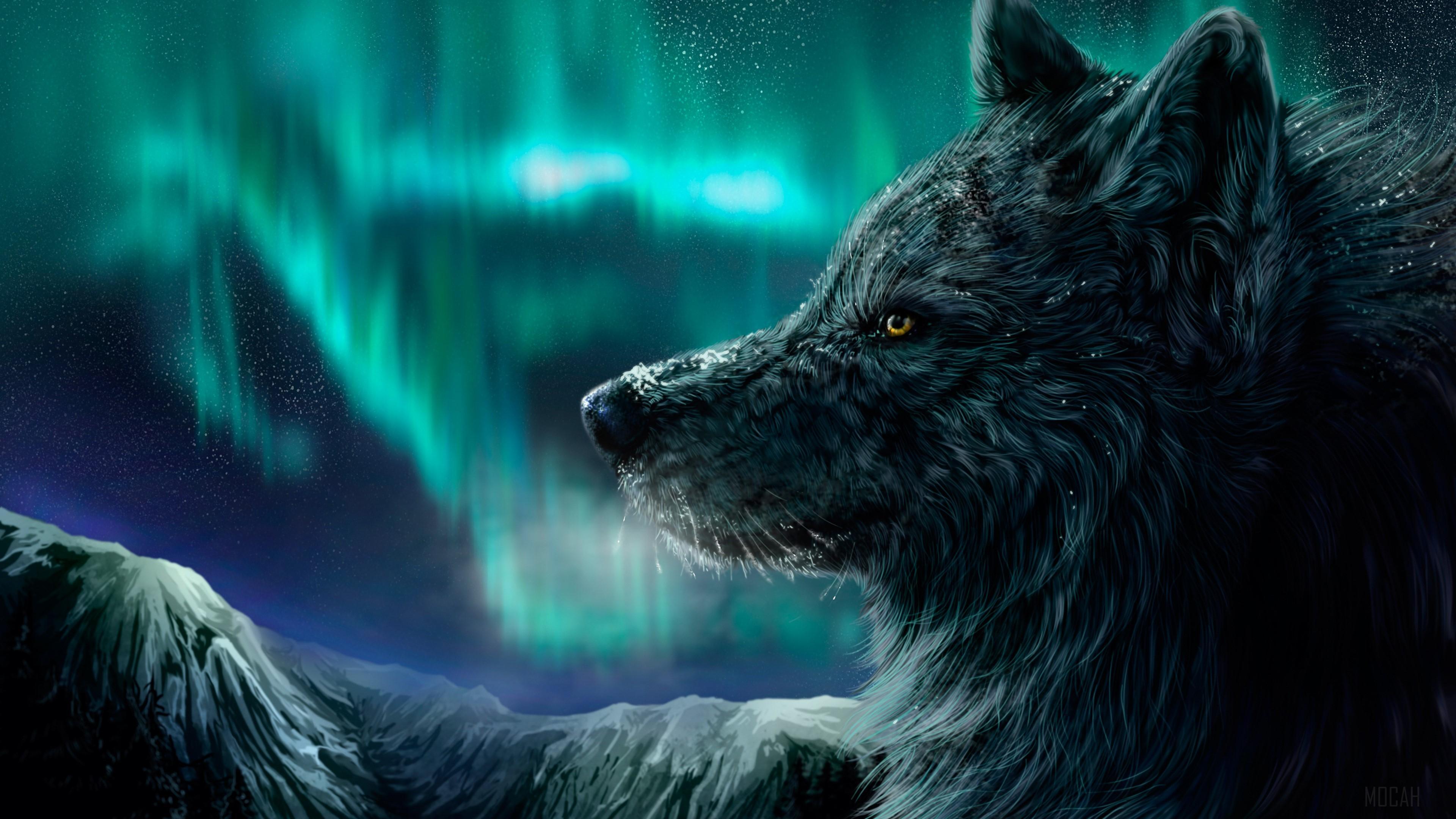 HD wallpaper, Wolf, Aurora Borealis, Art, Digital Art, Animals 4K