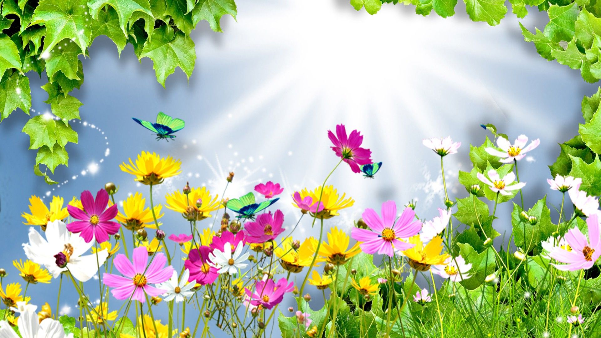 HD wallpaper, Flowers, Summer, Animated