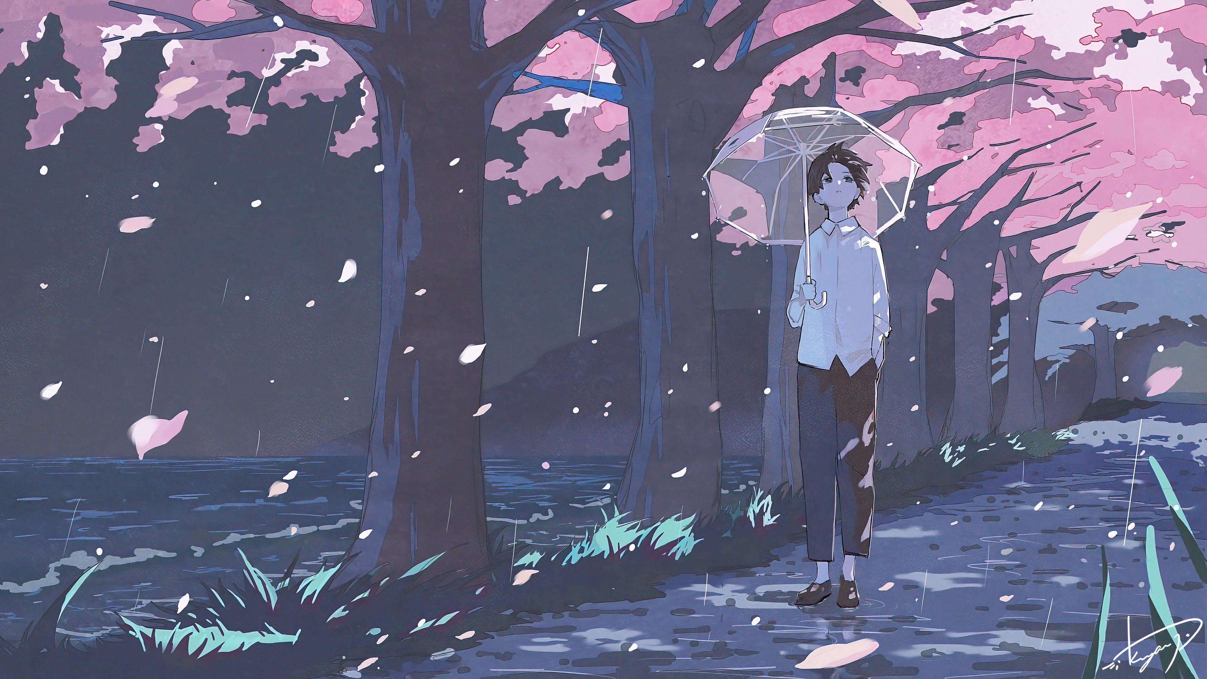 HD wallpaper, Anime, 4K, Boy, Cherry Blossom