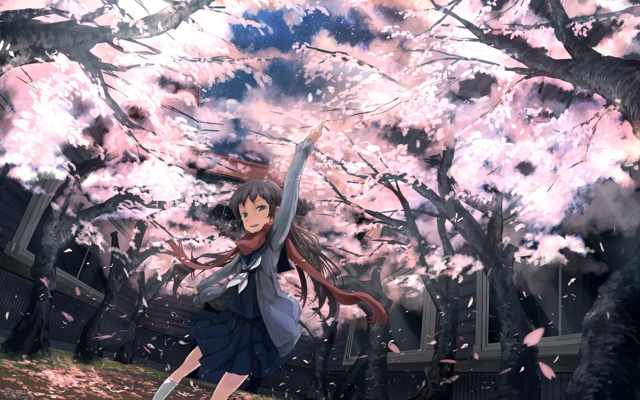 HD wallpaper, Blossoms, Spring, Anime, Girl