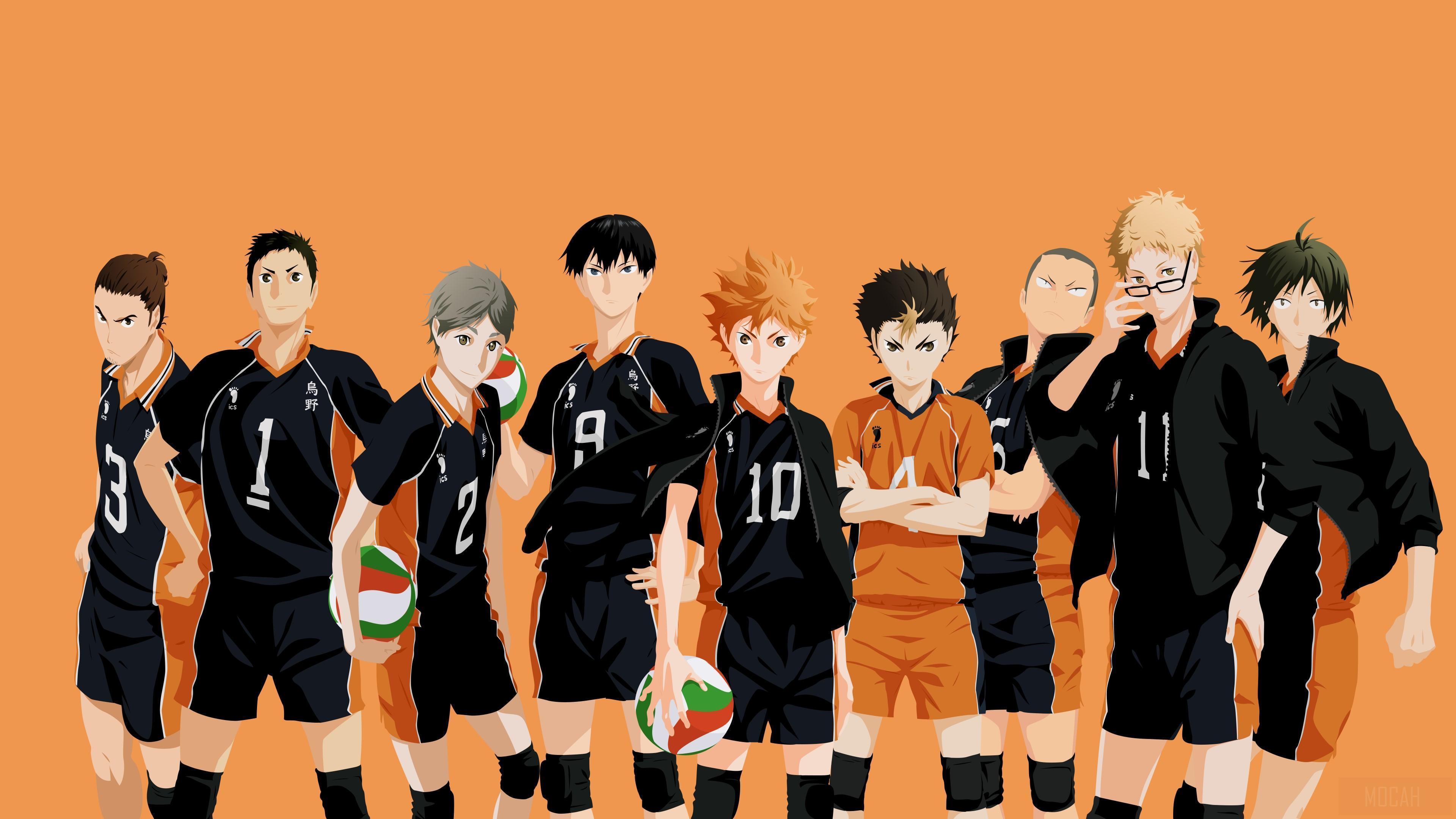 HD wallpaper, Karasuno, Volleyball, Anime, Team 4K, Haikyuu