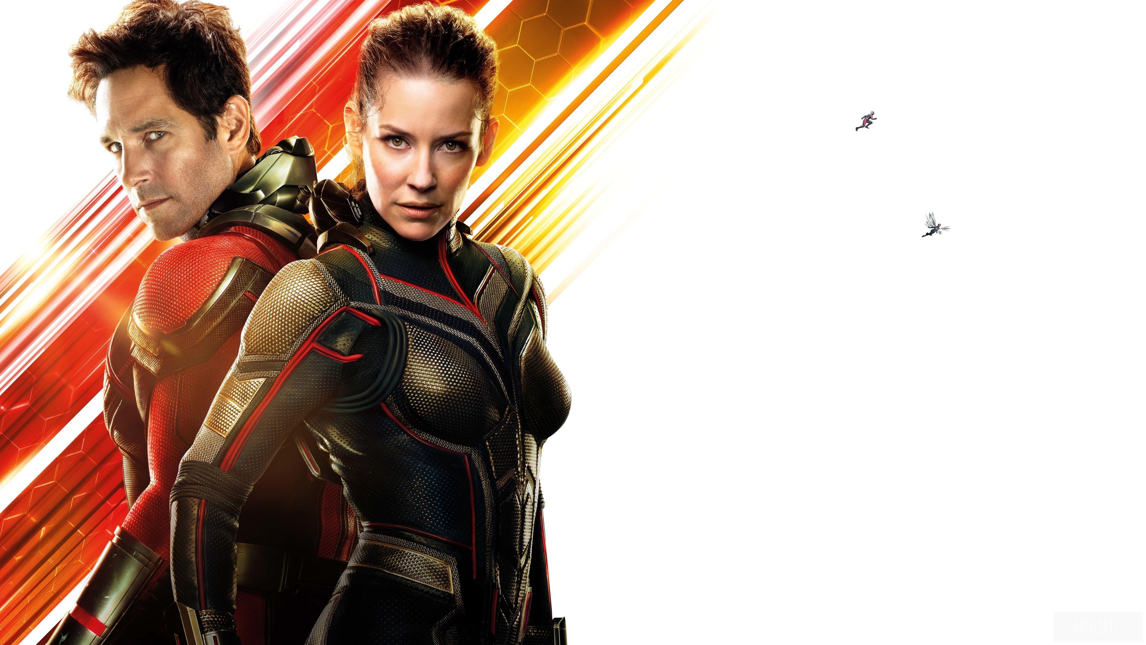 HD wallpaper, Antman And The Wasp 12K 4K