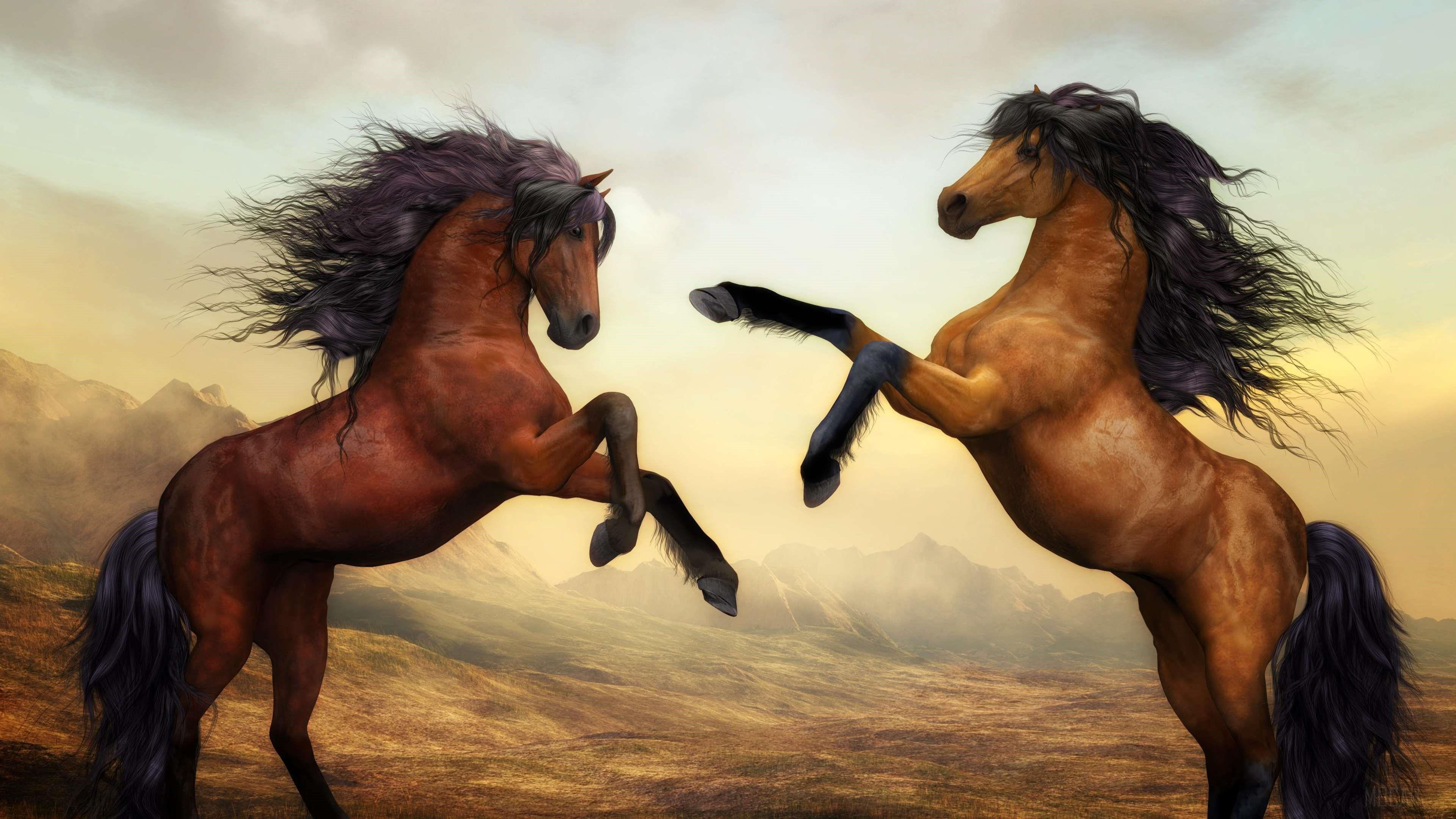 HD wallpaper, Arabian Horse Artistic 4K