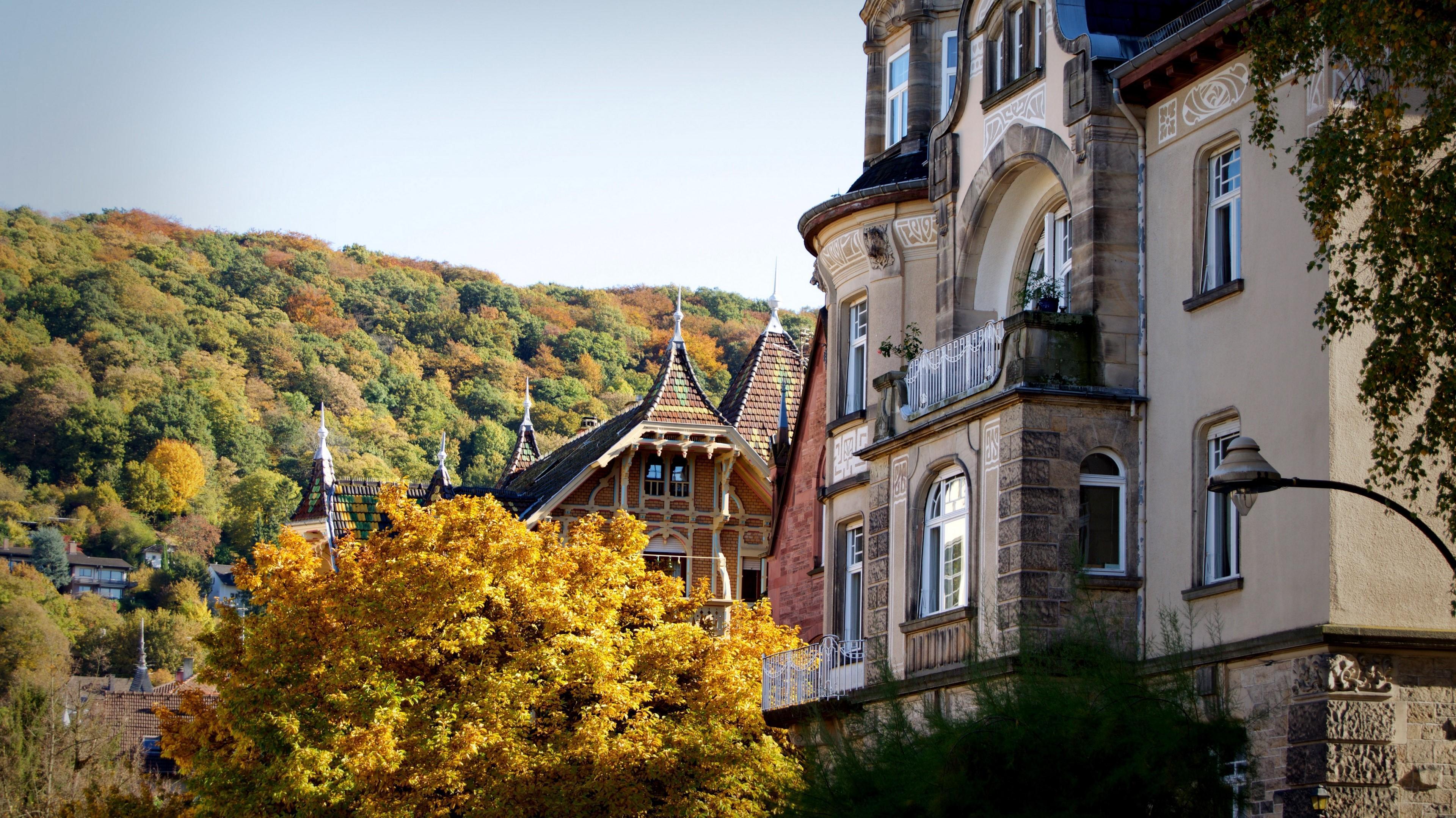 HD wallpaper, Forest 4K, Architecture, Autumn, Building, Heidelberg, Germany