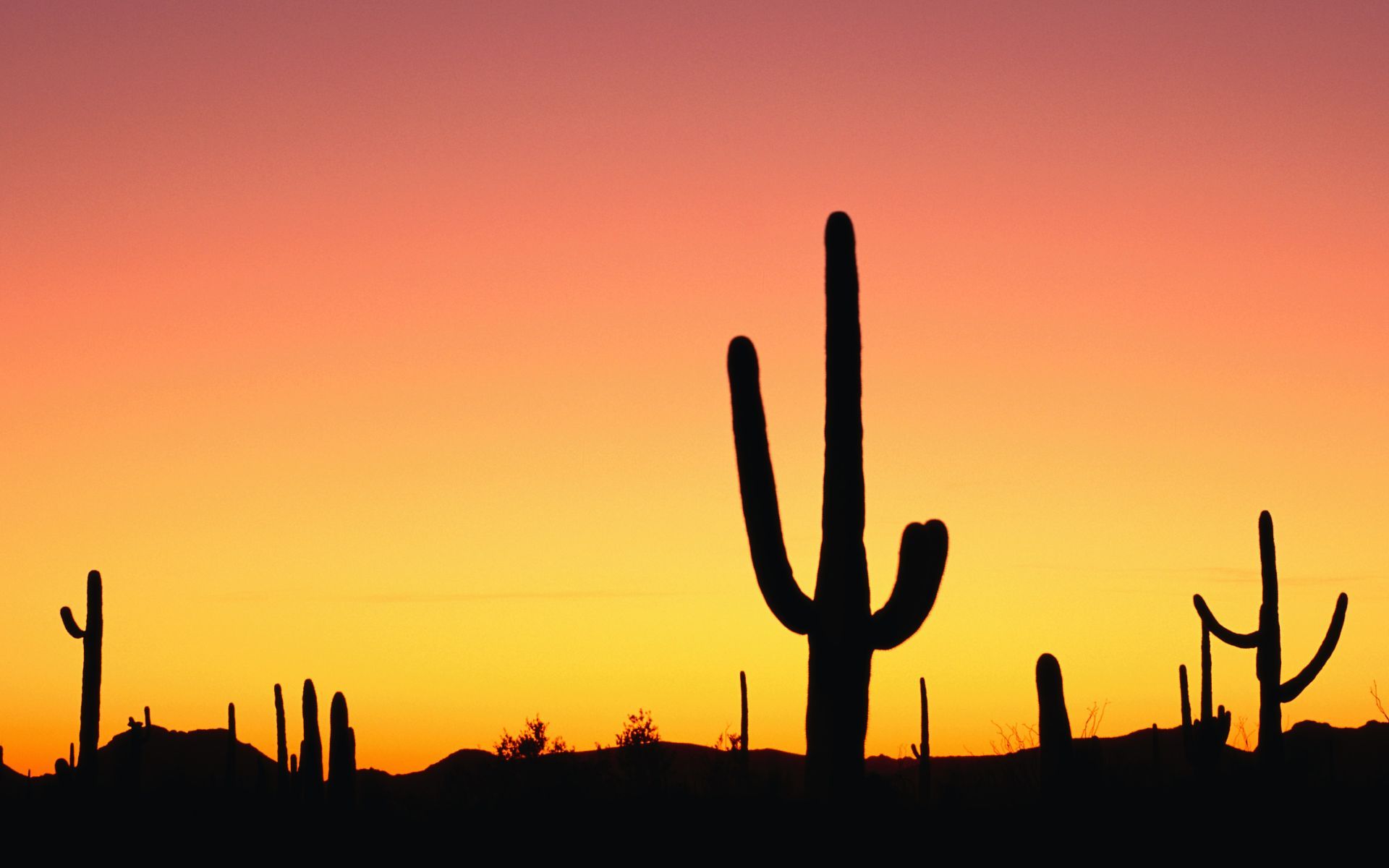 HD wallpaper, Arizona, Sunset, Wallpaper