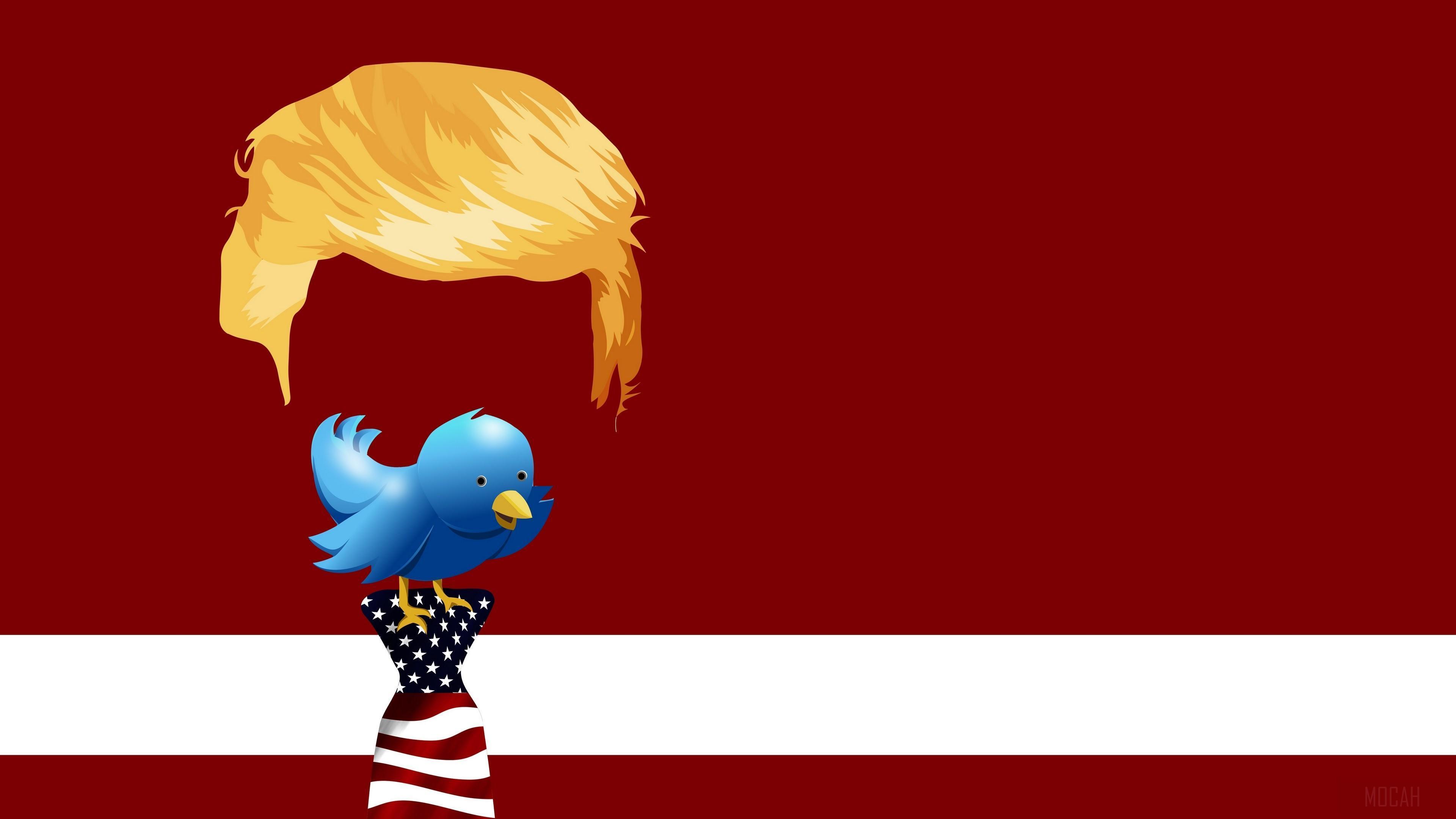 HD wallpaper, Twitter 4K, Donald Trump, Artistic, American, Humor, Tie