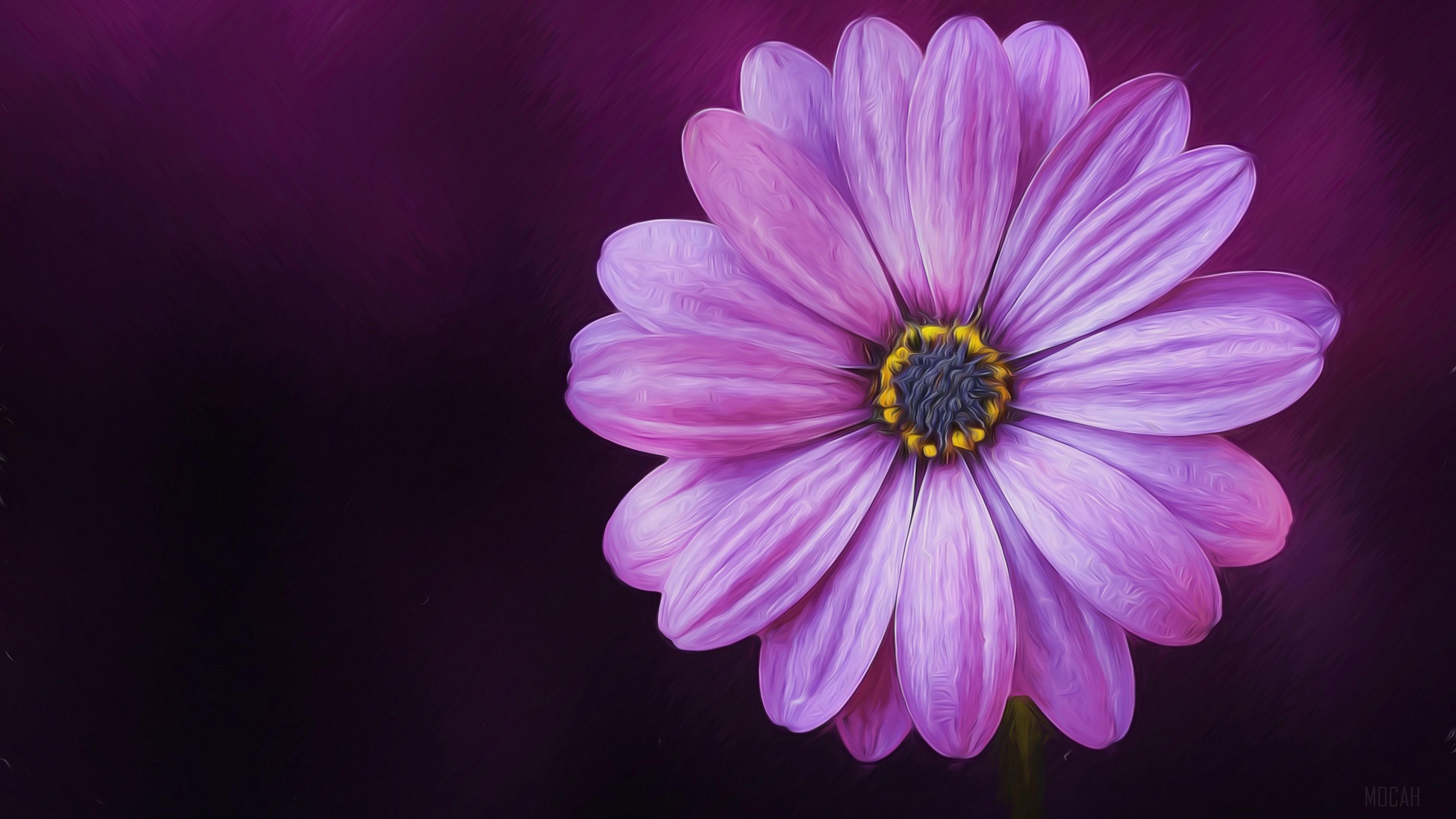 HD wallpaper, Nature, Oil Painting, Artistic, Painting, Daisy, Purple Flower 4K, Flower