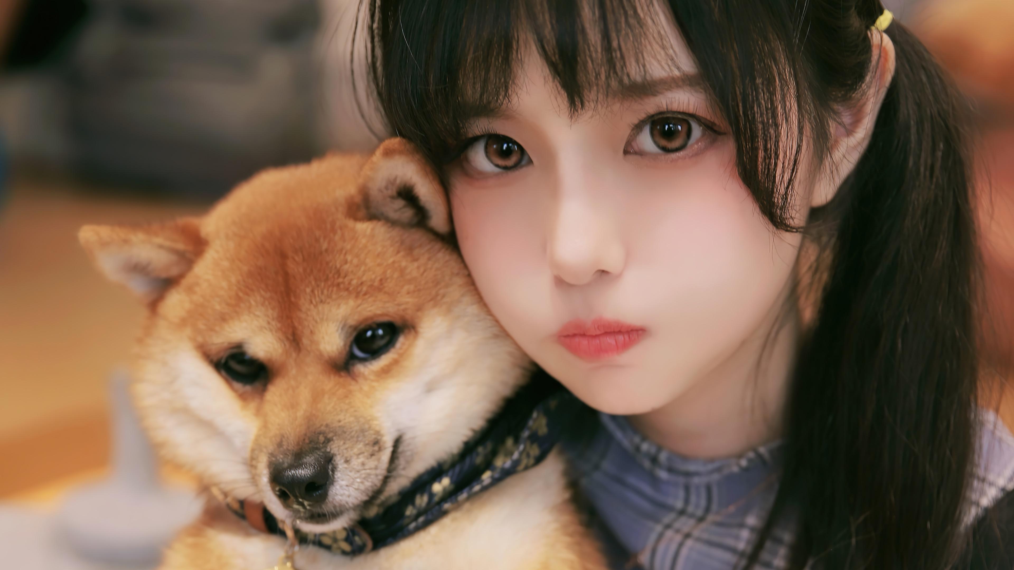 HD wallpaper, Cute, Wallpaper, Beautiful, With Shiba Inu, Hd, Girl, Dog, 4K, Asian, Japanese