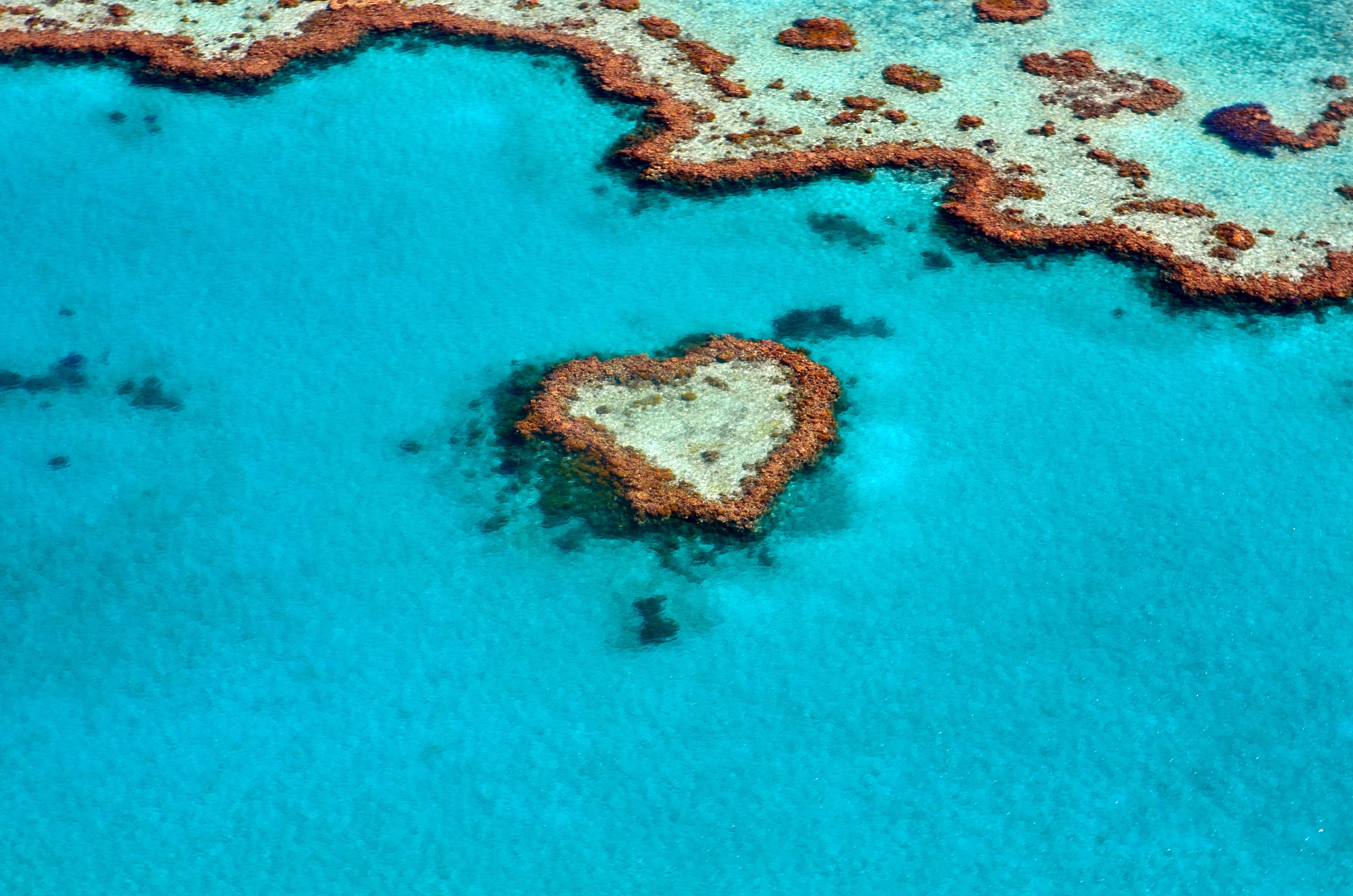 HD wallpaper, Great Barrier Reef, Australia, Tourist Attraction, Love Heart, Heart Reef, Coral Reef, 5K, Aerial Photography