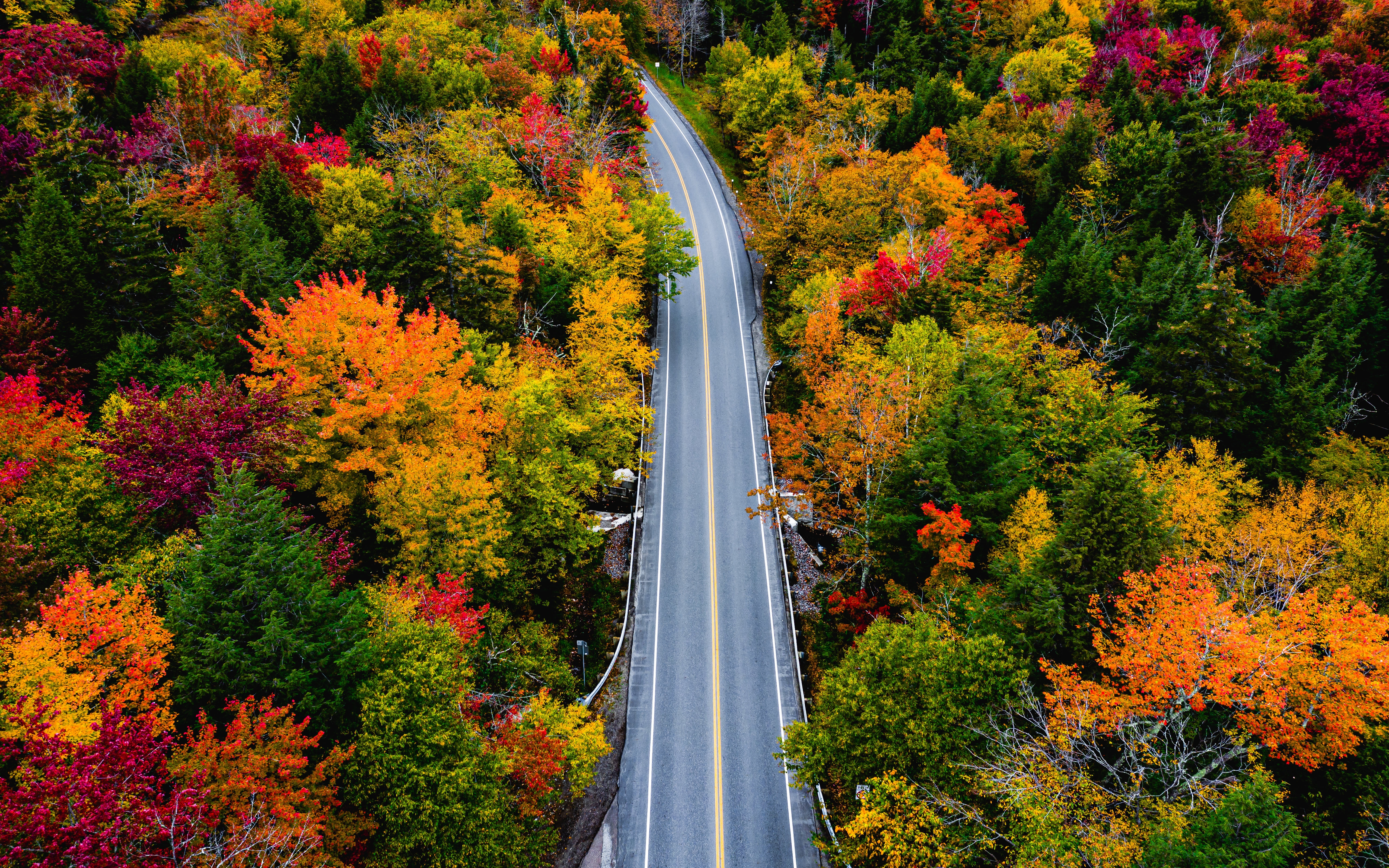 HD wallpaper, Fall Colors, Road, Country Road, Maple Trees, 5K, Landscape, Autumn, Usa