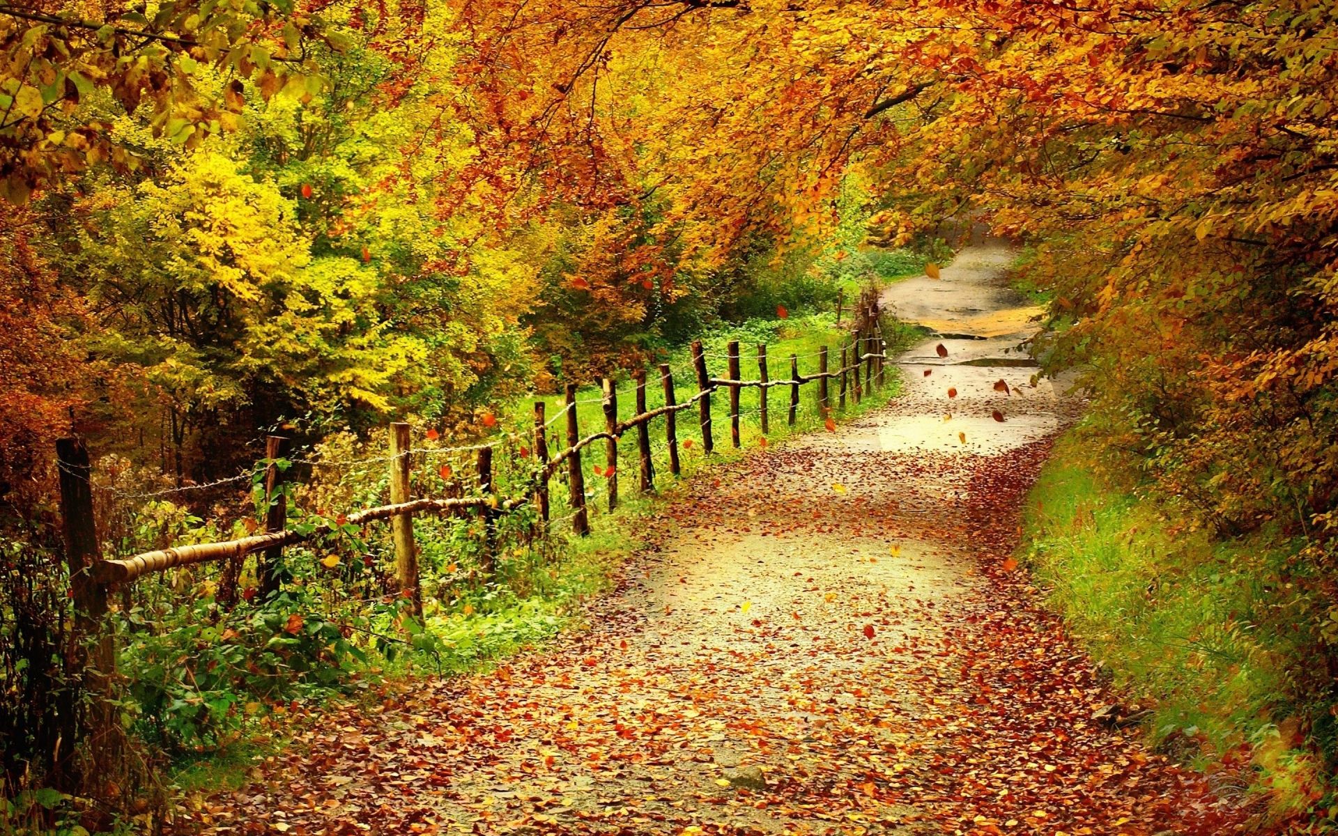 HD wallpaper, Road, Country, Autumn
