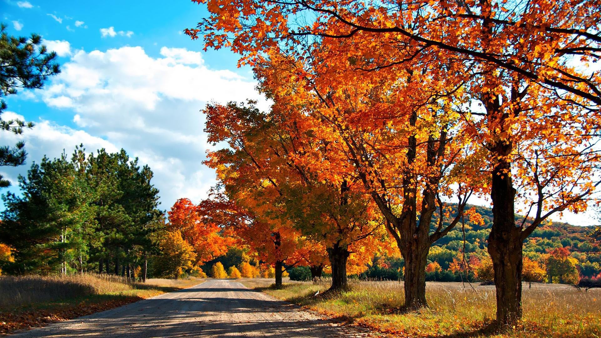 HD wallpaper, Autumn, Road, Country