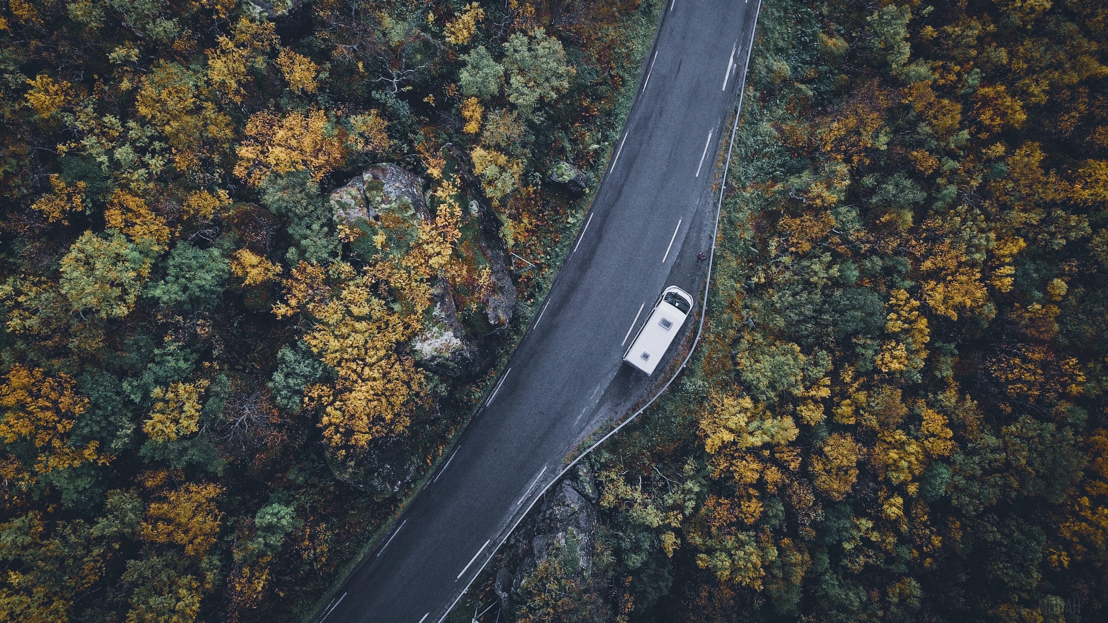 HD wallpaper, Trees, Top View, Road, Car 4K, Autumn