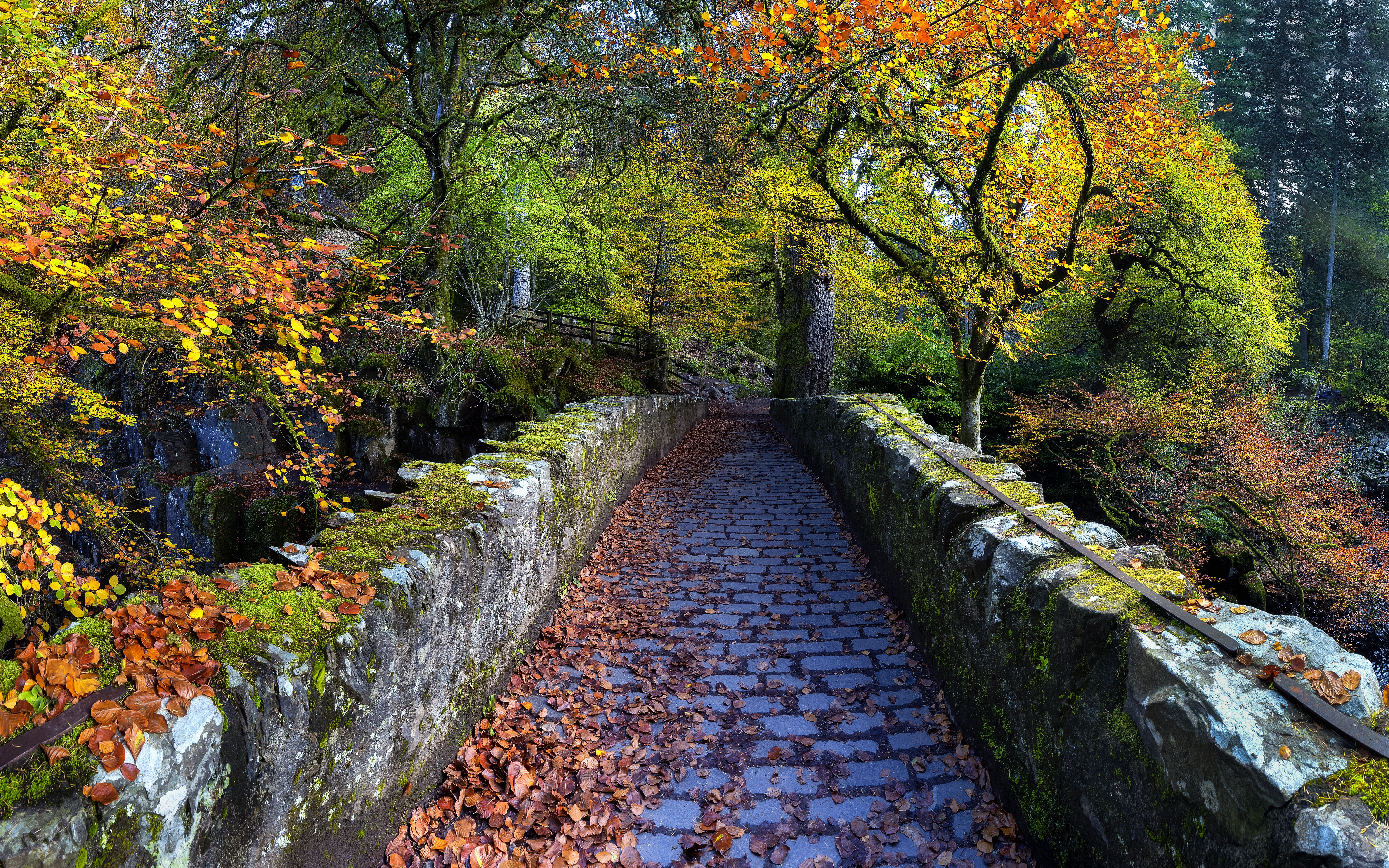 HD wallpaper, Pathway, Autumn Trees, Scenery, Dunkeld, Old Bridge Over River Braan, Fallen Leaves, Scotland, Hermitage, 5K
