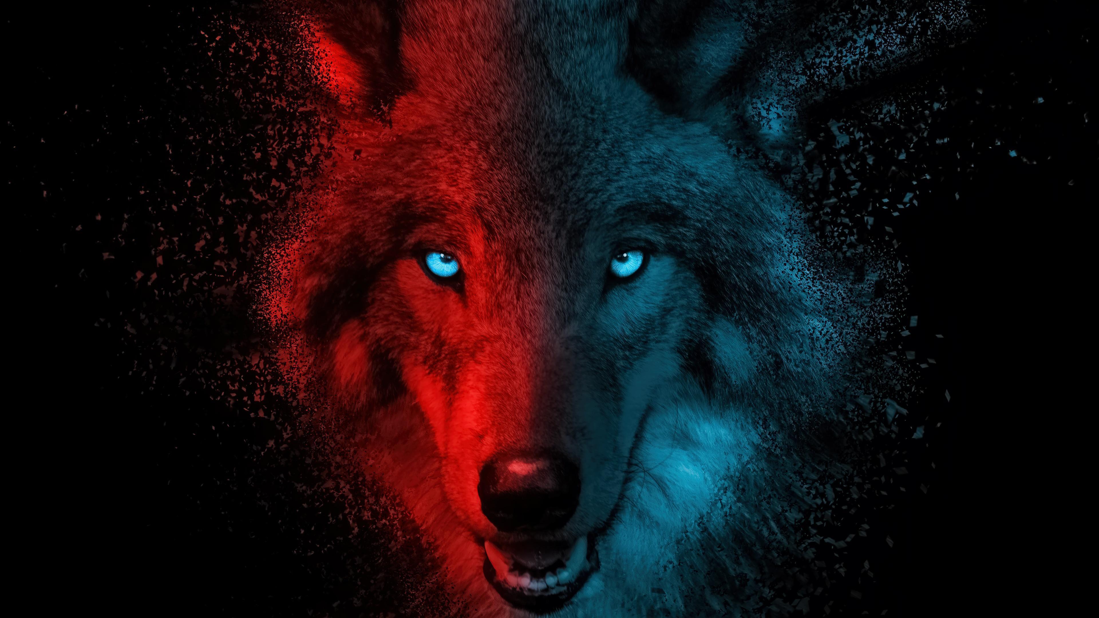 HD wallpaper, 4K, Dark, Animal, Background, Digital Art, Wolf