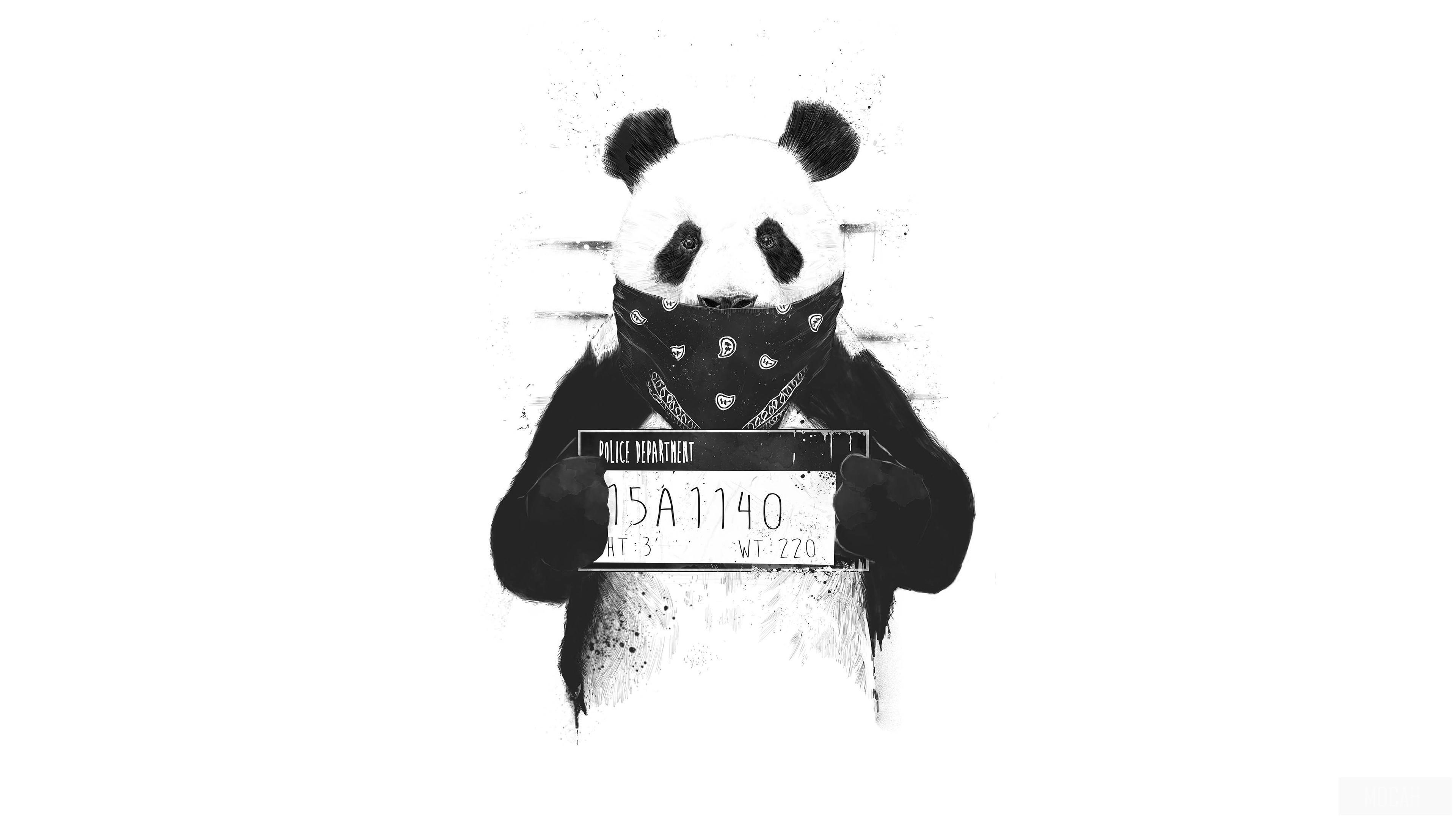 HD wallpaper, Bad Panda 4K