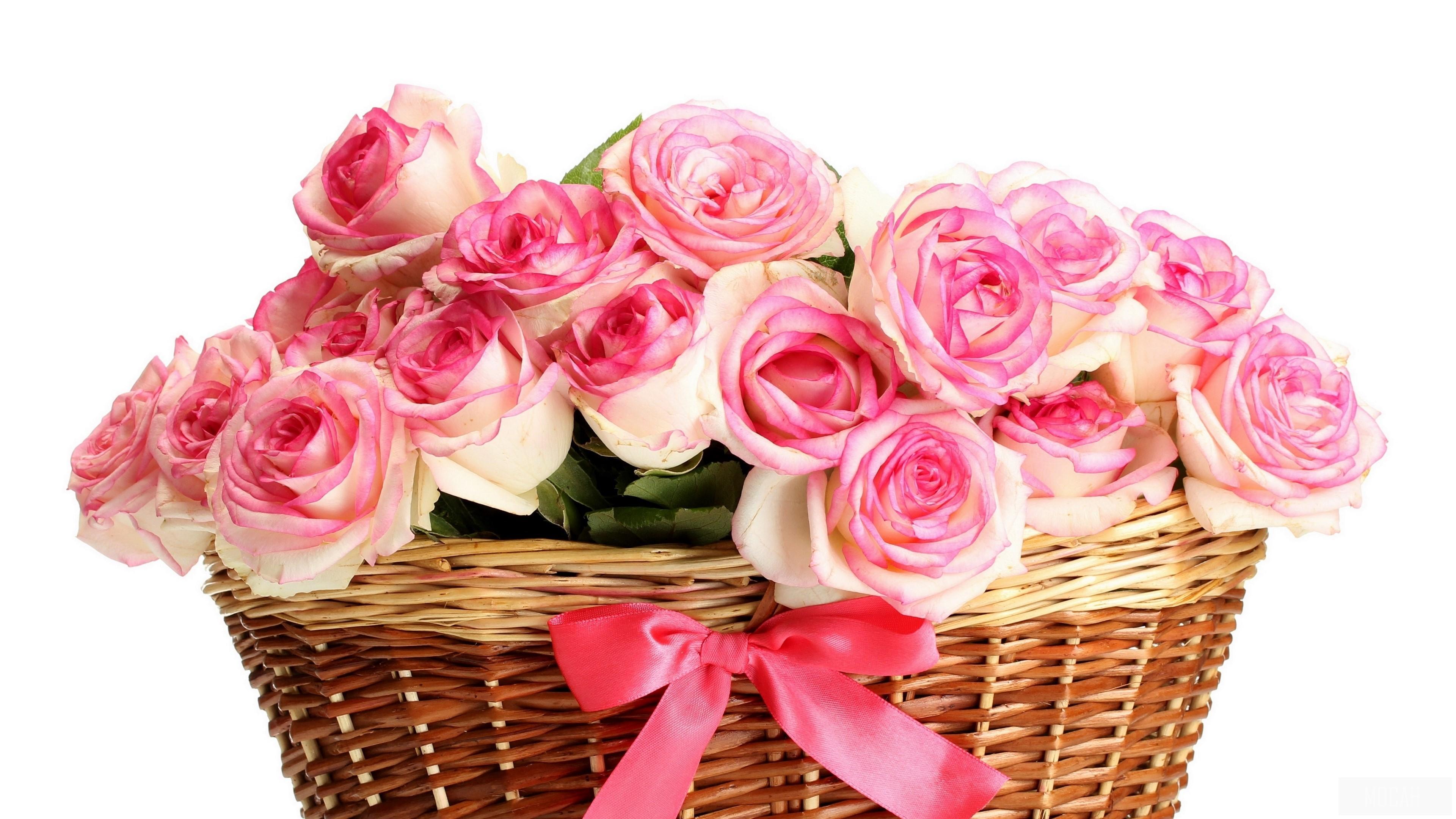 HD wallpaper, Roses, Pink 4K, Basket, Bouquets