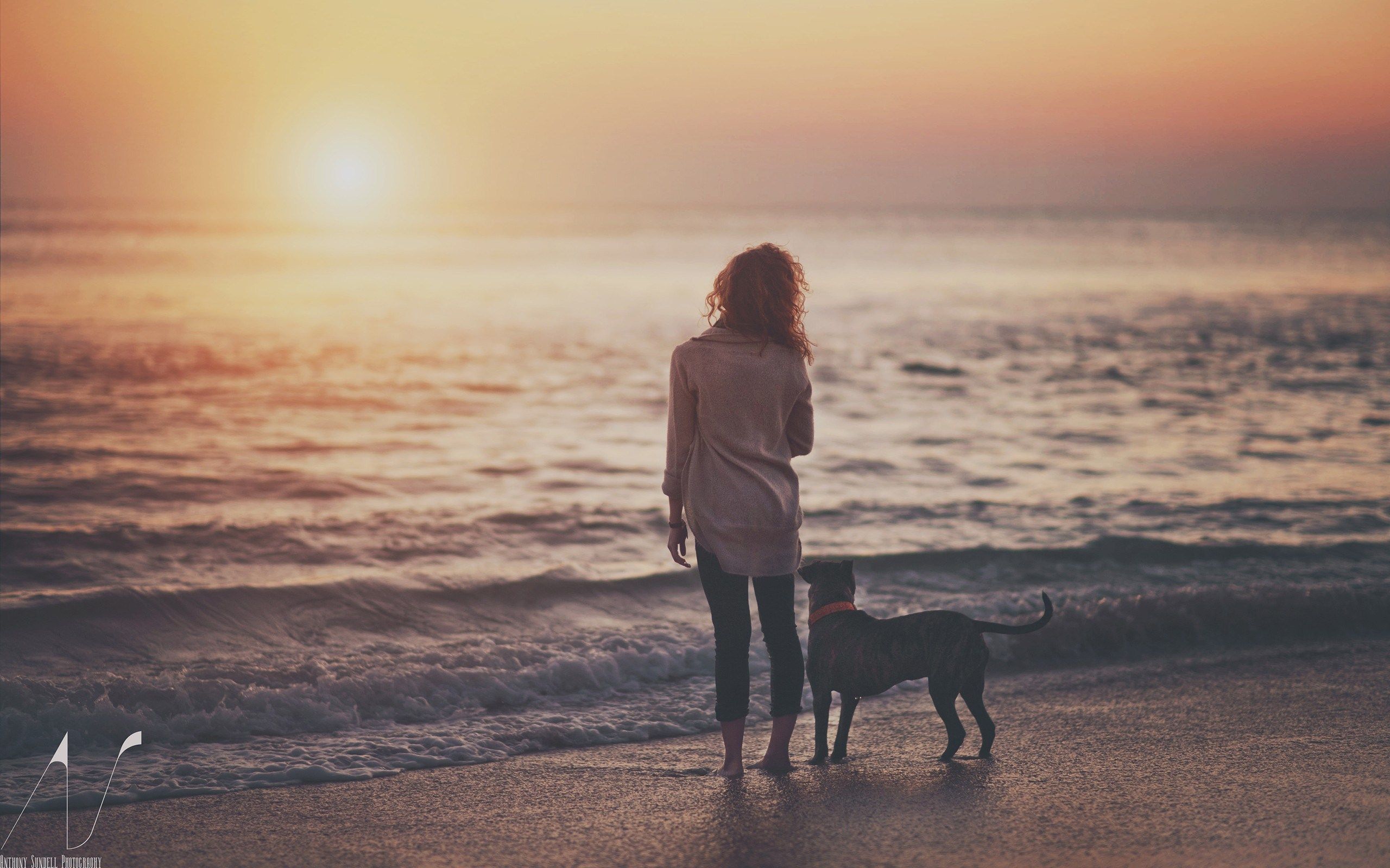 HD wallpaper, Photo, Beach, Girl, Dog, Sea