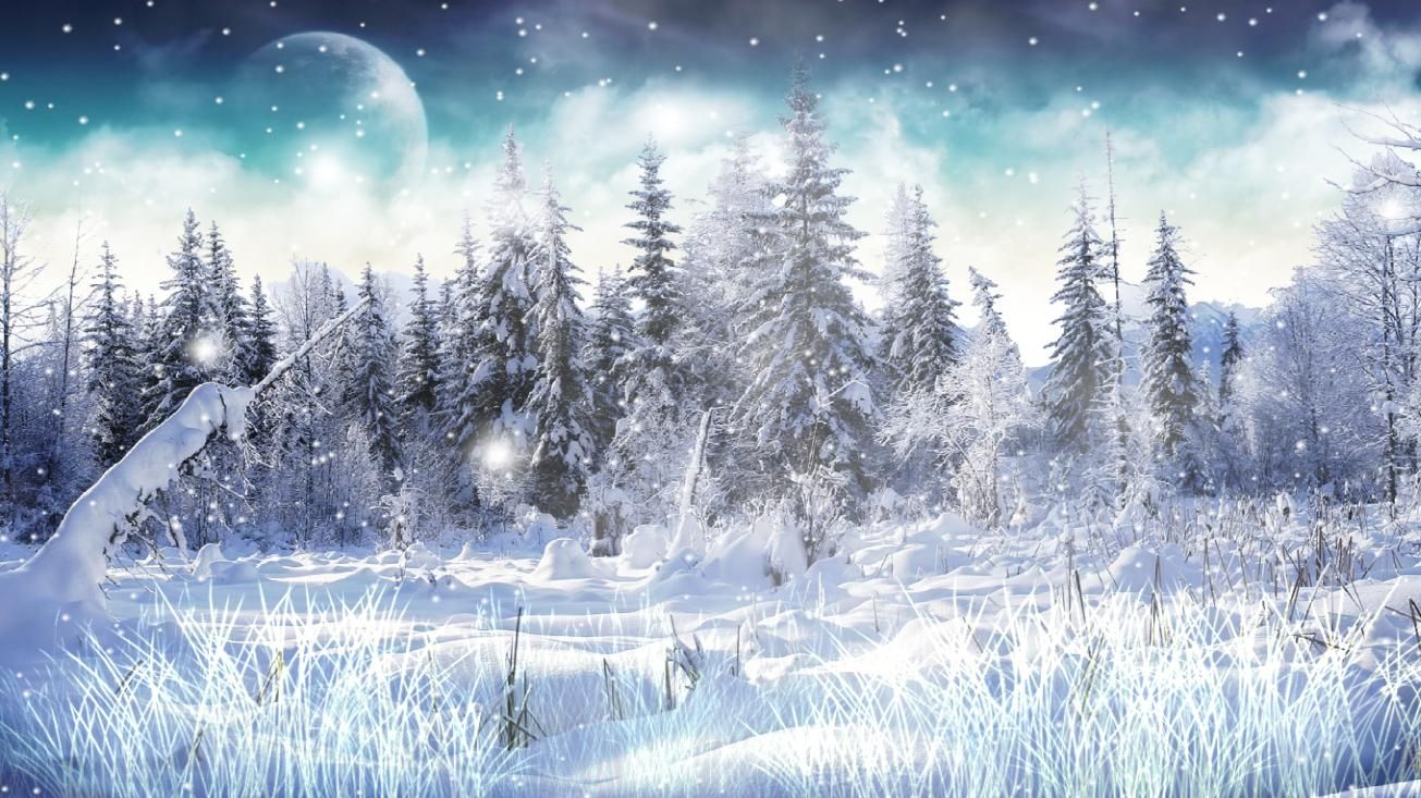 HD wallpaper, Snow, Beautiful, Winter, Picture