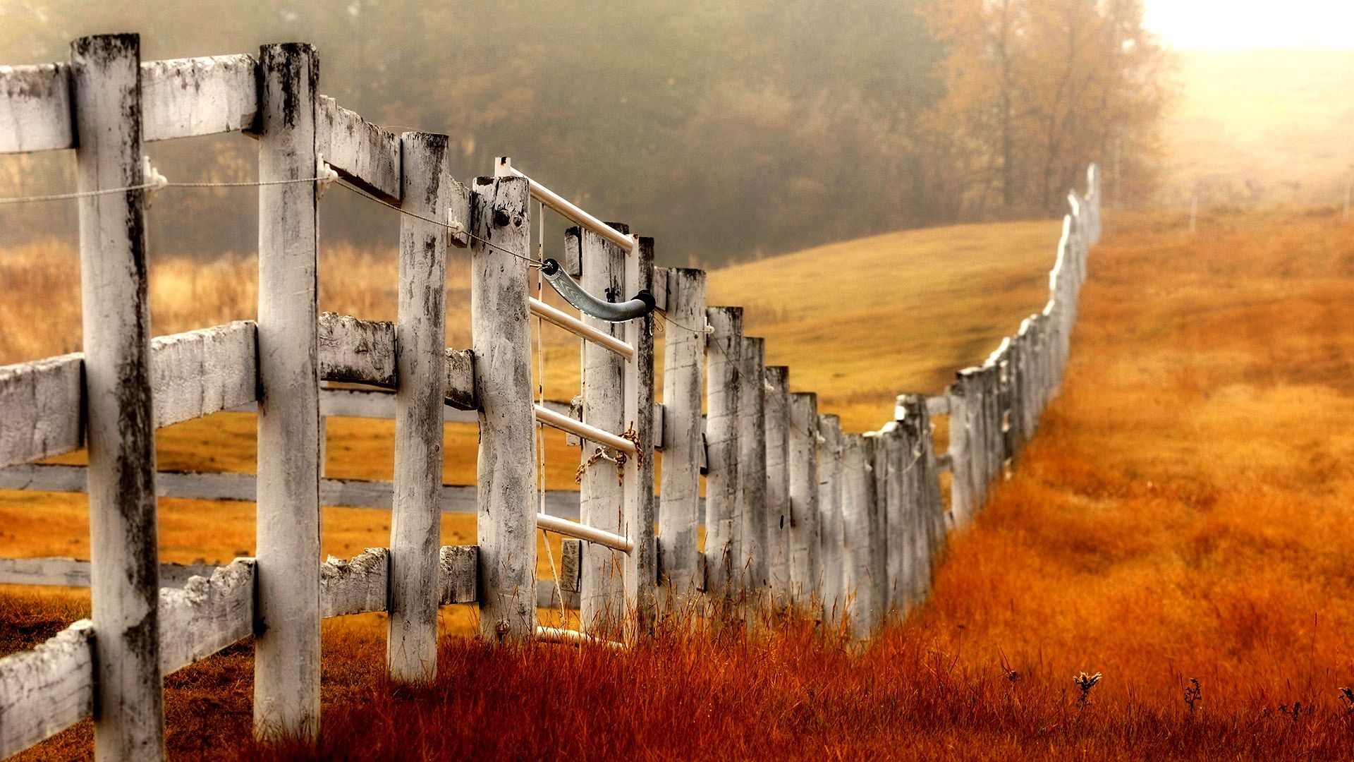 HD wallpaper, Fence, Beautiful, Wood, Wallpaper