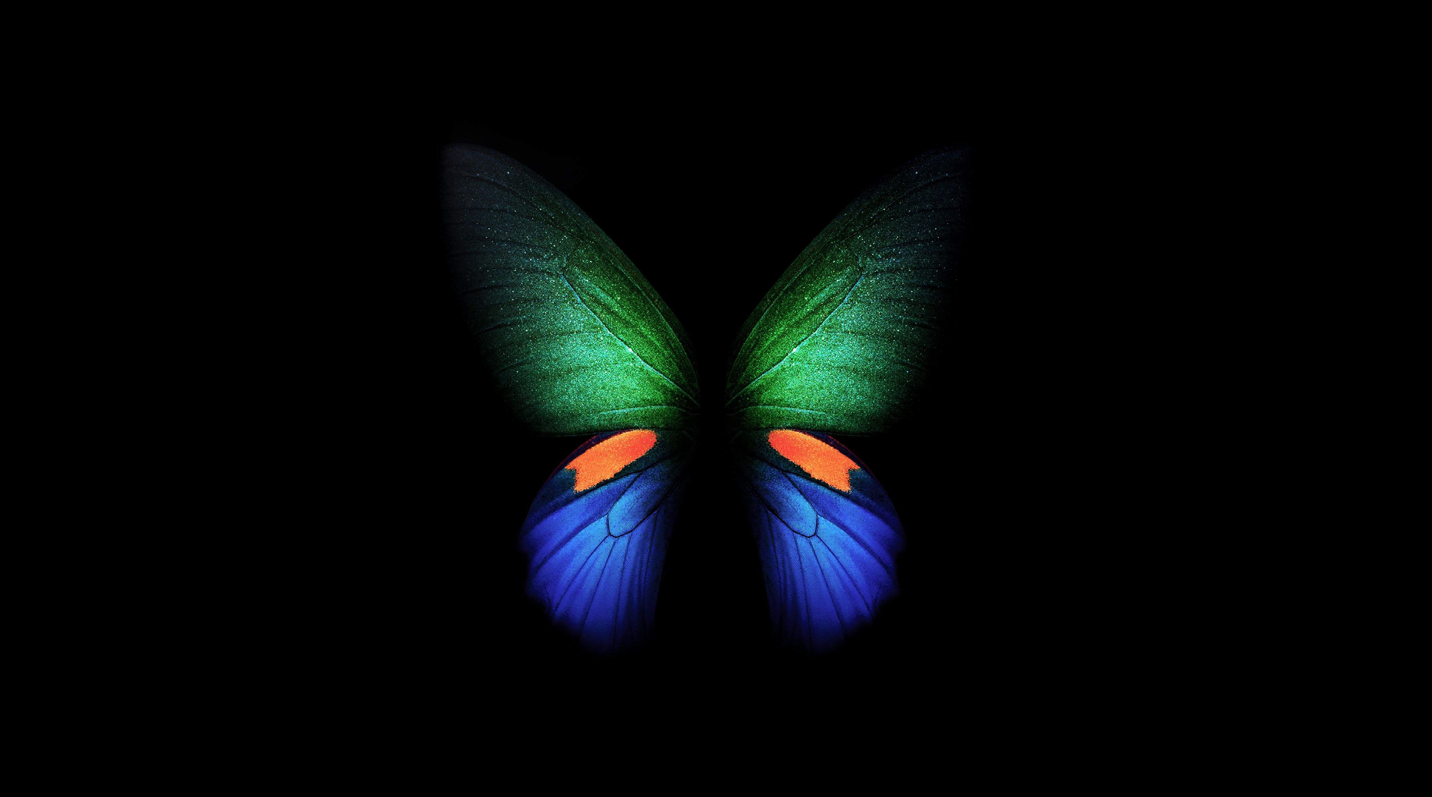 HD wallpaper, Black Background, Simple, Stock, Butterfly, Samsung Galaxy Fold