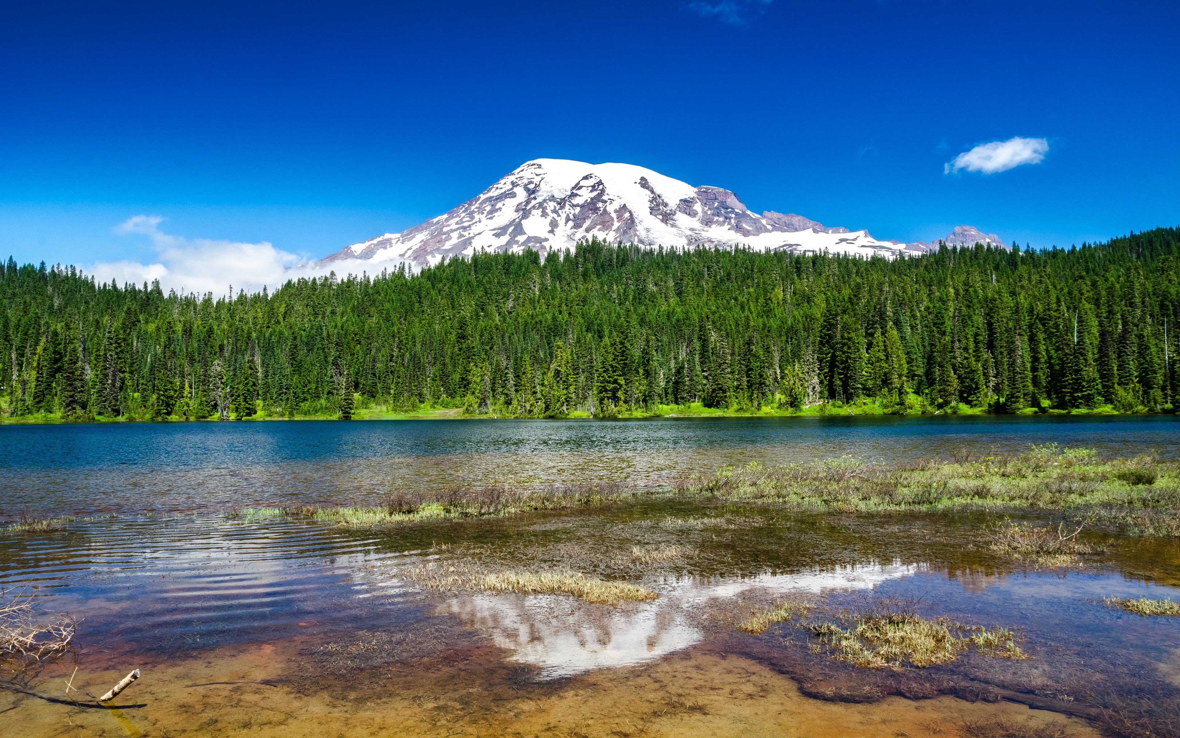 HD wallpaper, Lake, Scenery, Landscape, Glacier Mountains, Blue Sky, Snow Covered, Reflection, Clear Sky, Green Trees, Washington State, Mount Rainier National Park