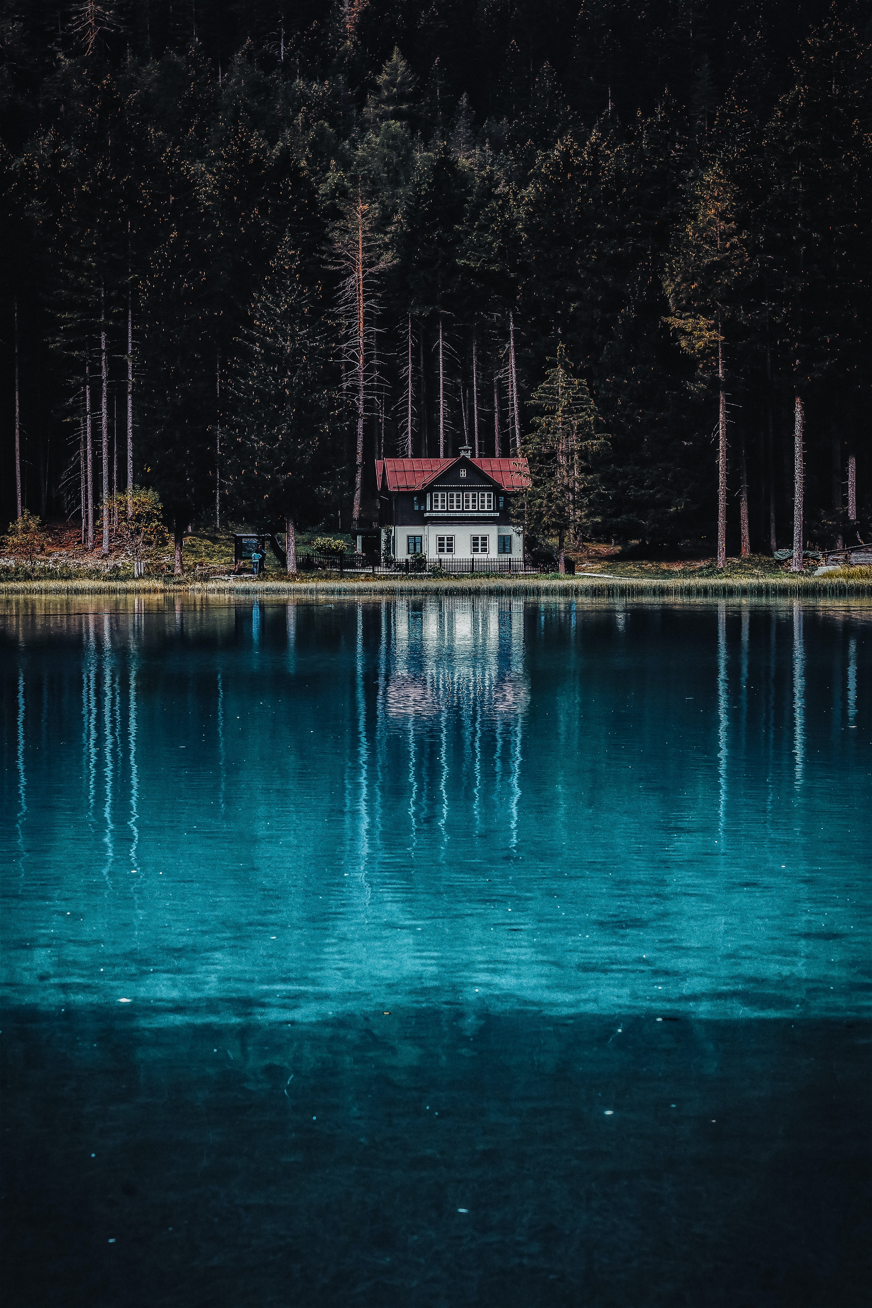 HD wallpaper, Dark Forest, Landscape, 5K, Scenery, House, Lake, Tall Trees, Reflection, Body Of Water, Woods