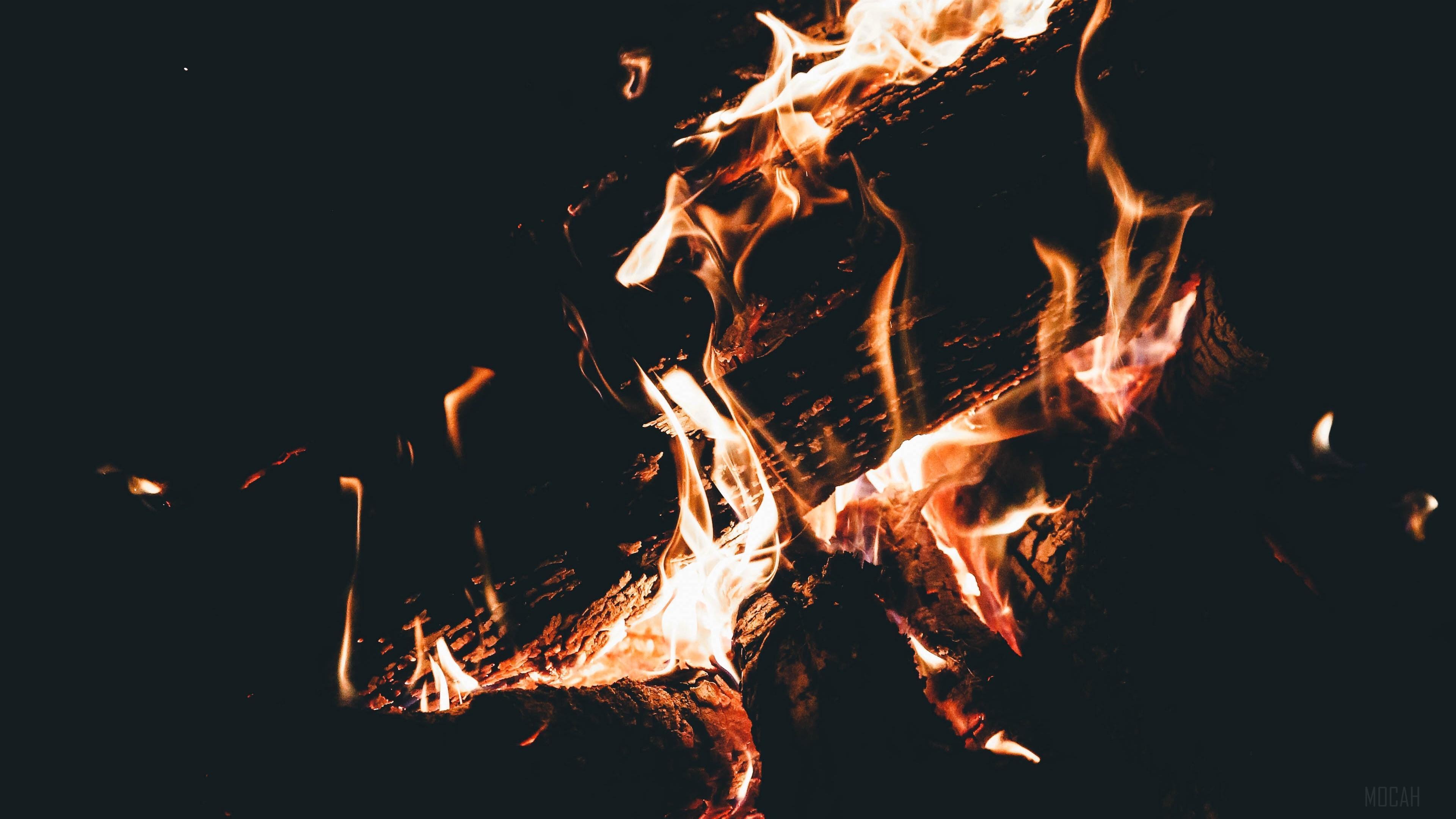 HD wallpaper, Burning 4K, Flame, Camping, Dark, Fire, Bonfire, Firewood