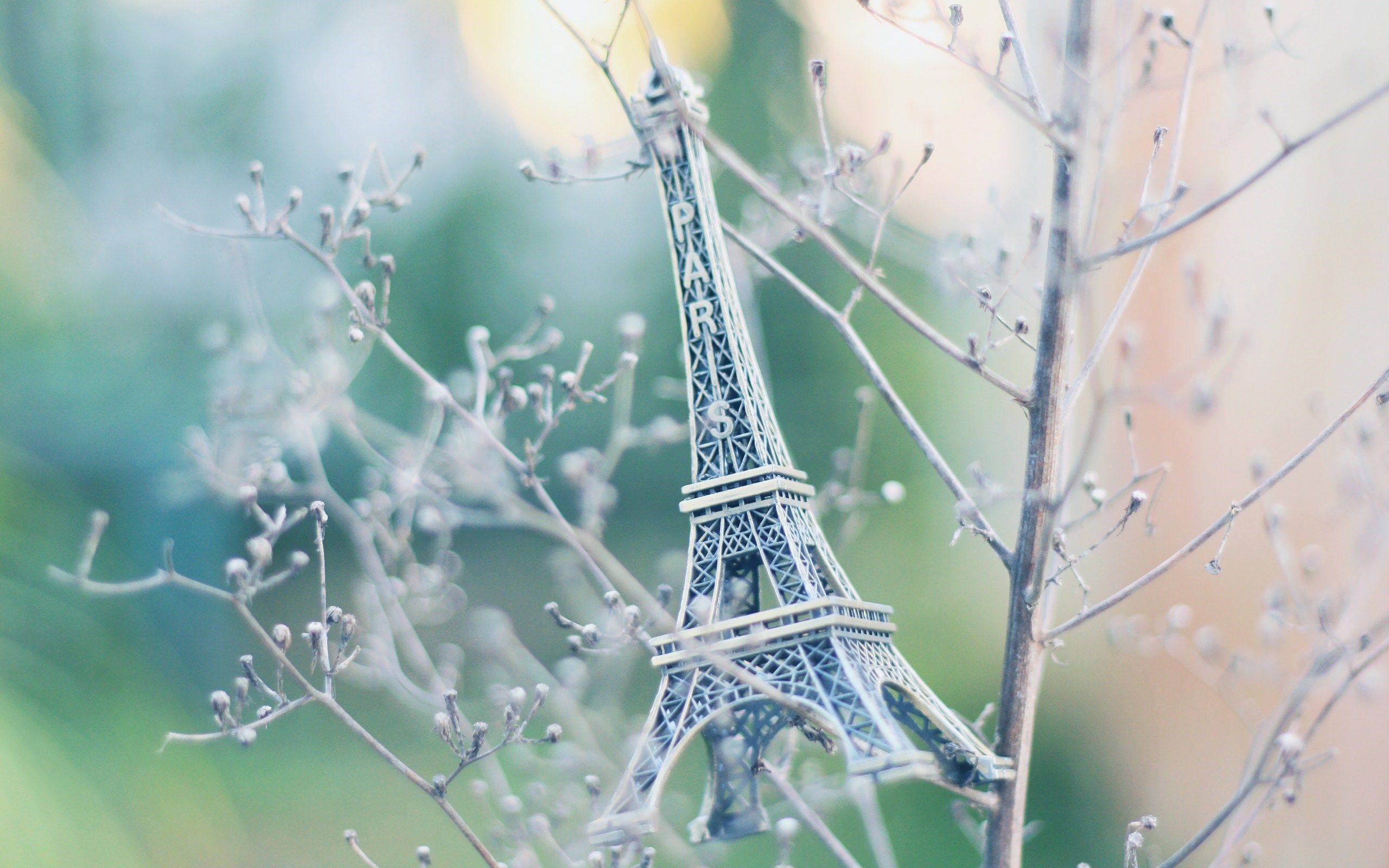 HD wallpaper, Branch, Photo, Paris, Eiffel, Tower